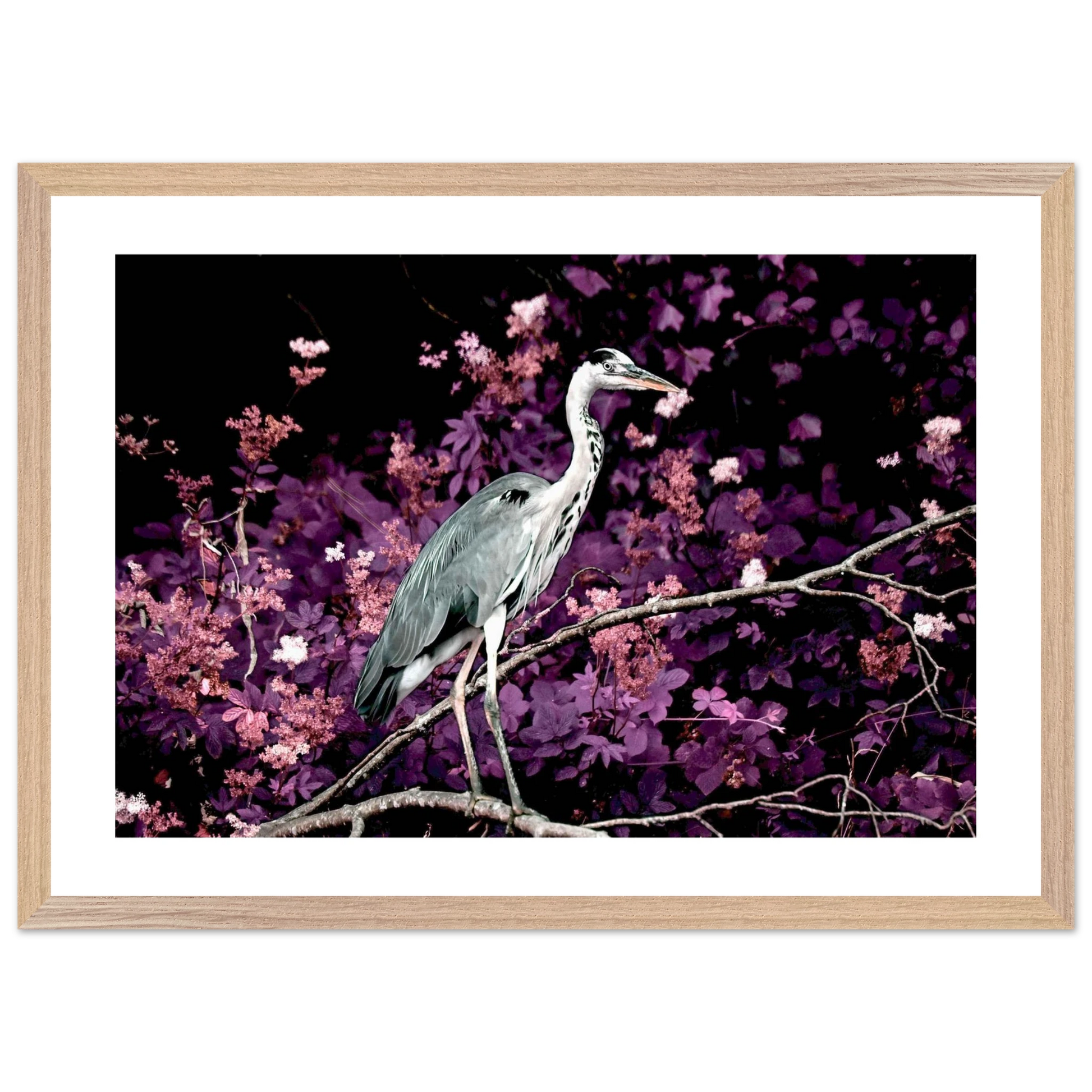 4048135e-04a4-4123-a636-33227cf037f7