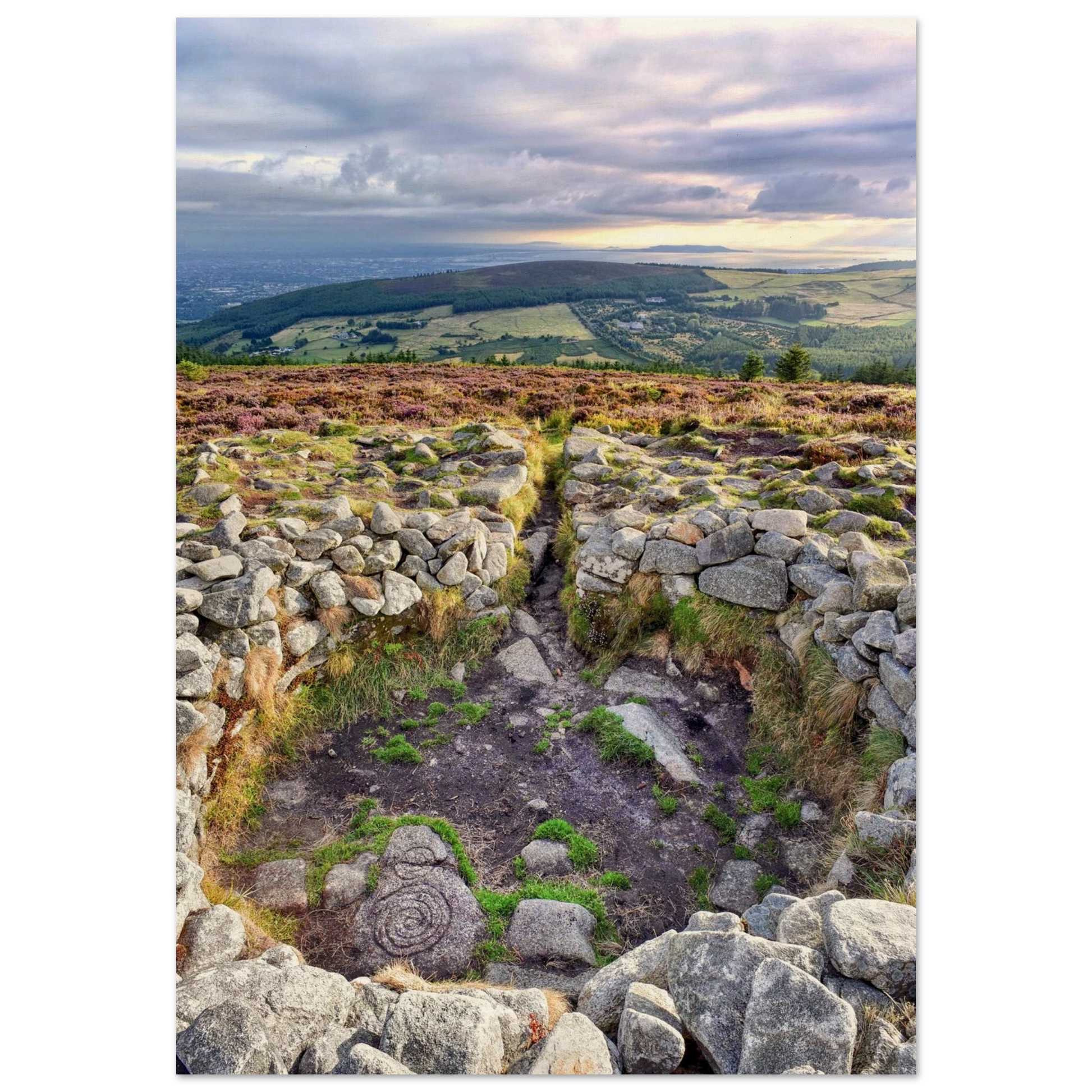 404d7a00-f7a0-4aaa-b4ce-4bc4c9b2a89d