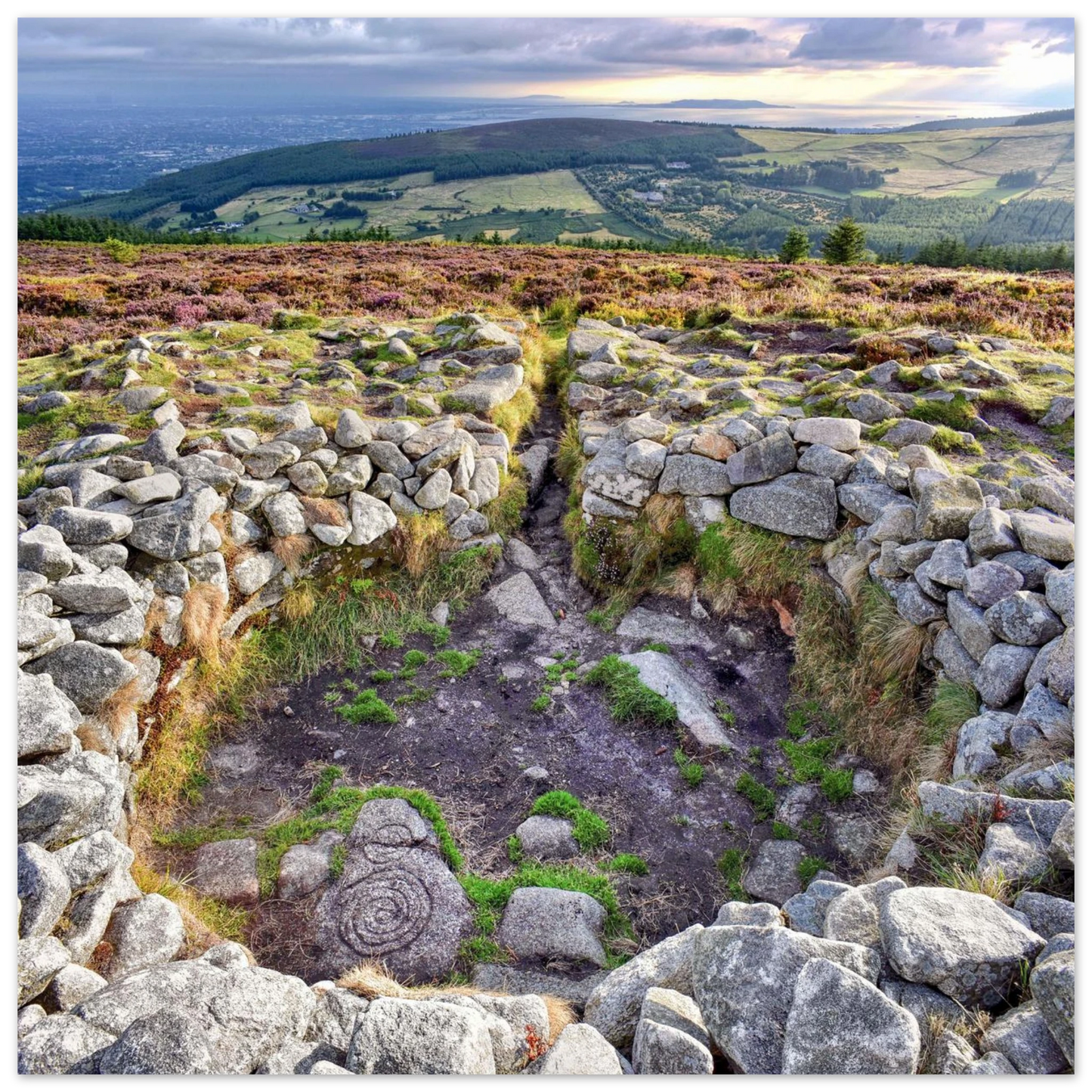 40e79fe3-fb83-4eb2-8388-cd27f7903f53