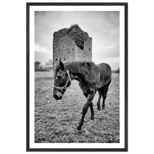 40f1147e-c960-4c47-ad41-4771fe19b1dd