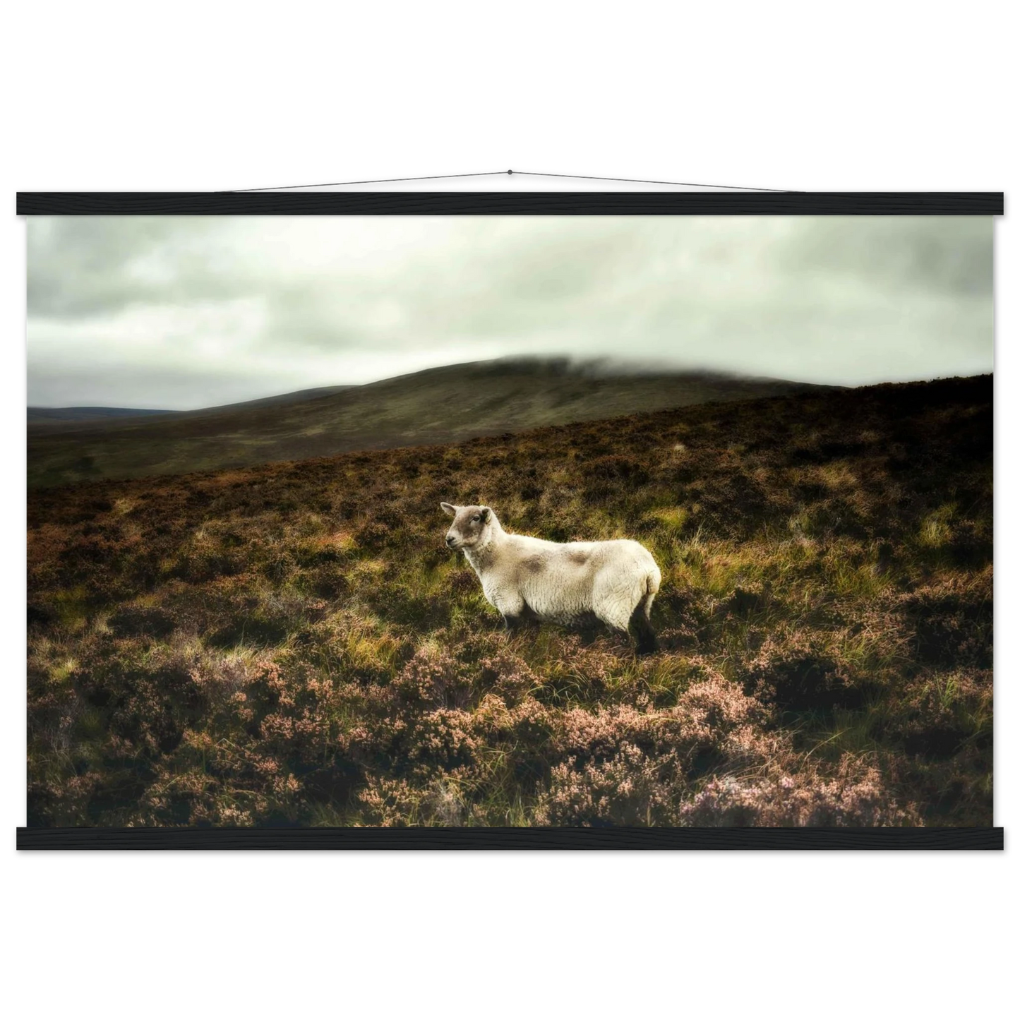 40f5d33d-065e-4e35-a91b-5c6d370b7aeb