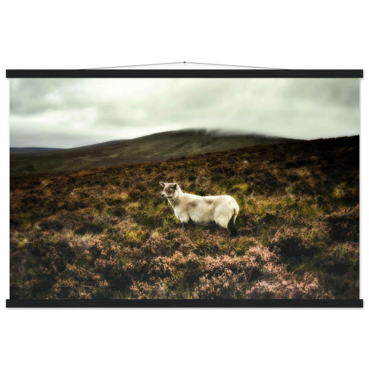 40f5d33d-065e-4e35-a91b-5c6d370b7aeb