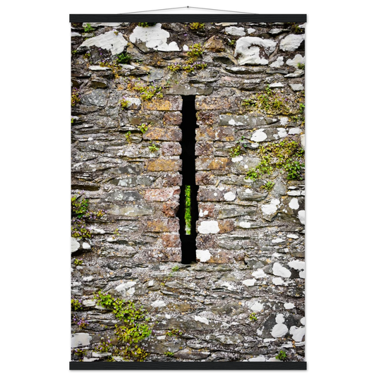 41664a4f-b590-4164-ae5b-a157f2268bf3