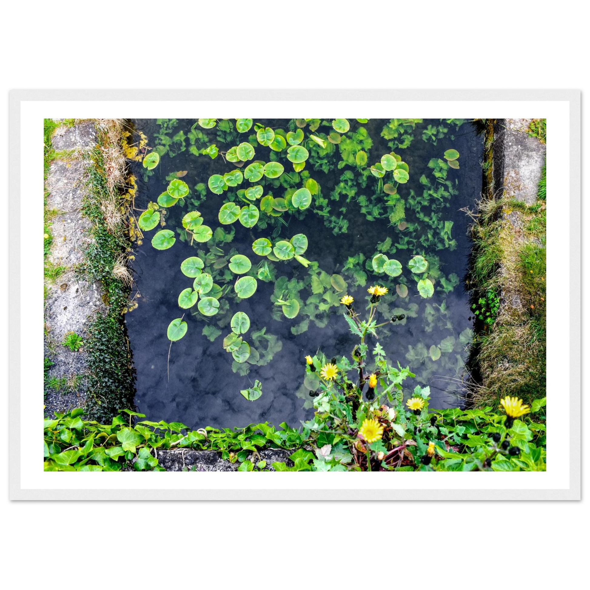 41d2beef-0431-4ccd-8dbf-4413792a8d25