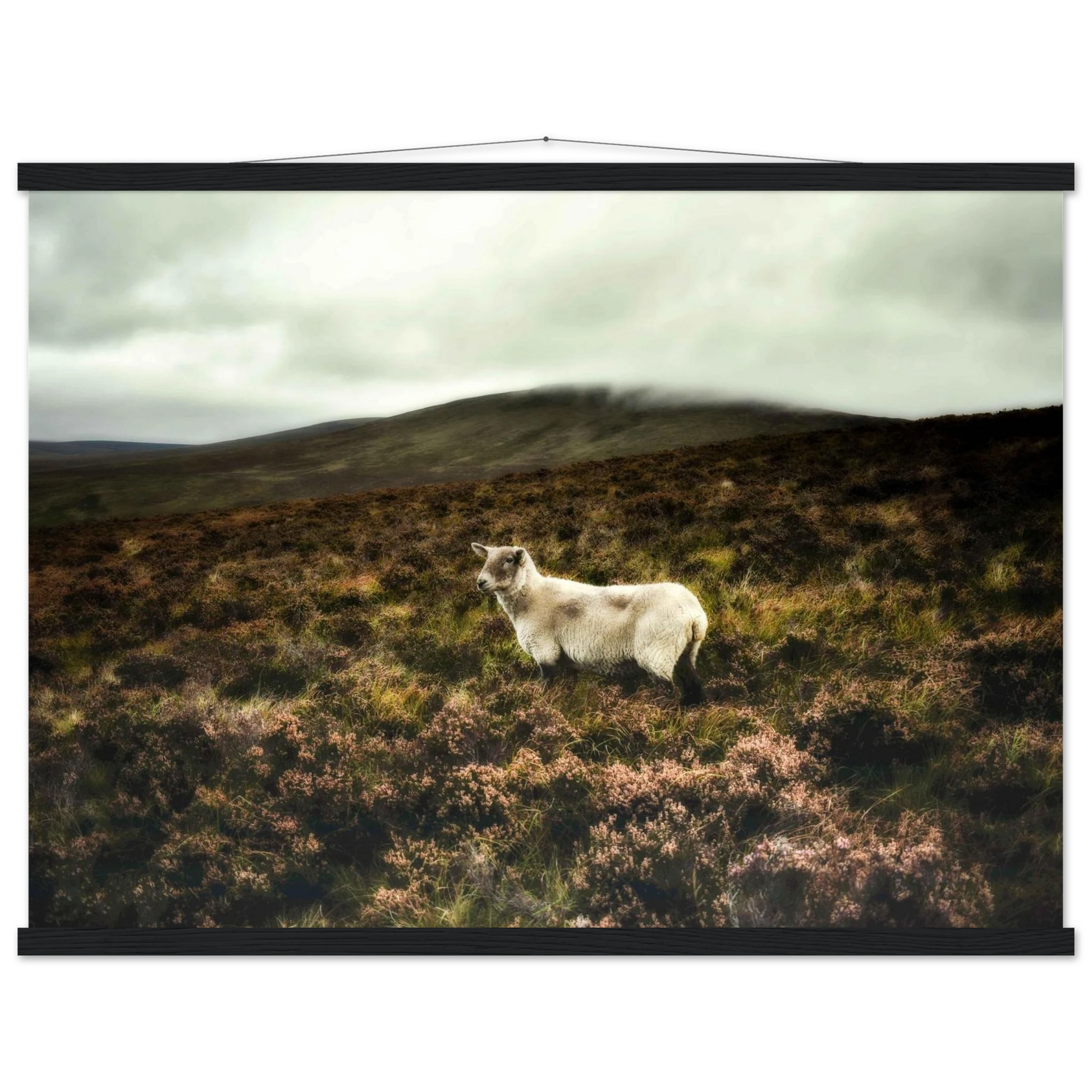 4210f49e-0db2-47d9-a834-576218a988e2