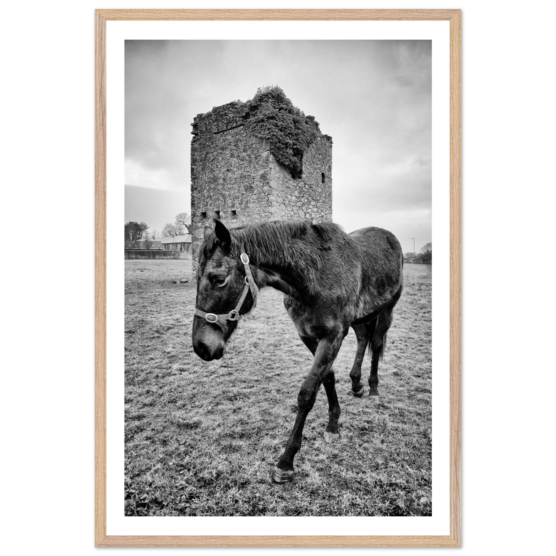 4214dc7d-7149-4e32-965c-b0cac7499e09