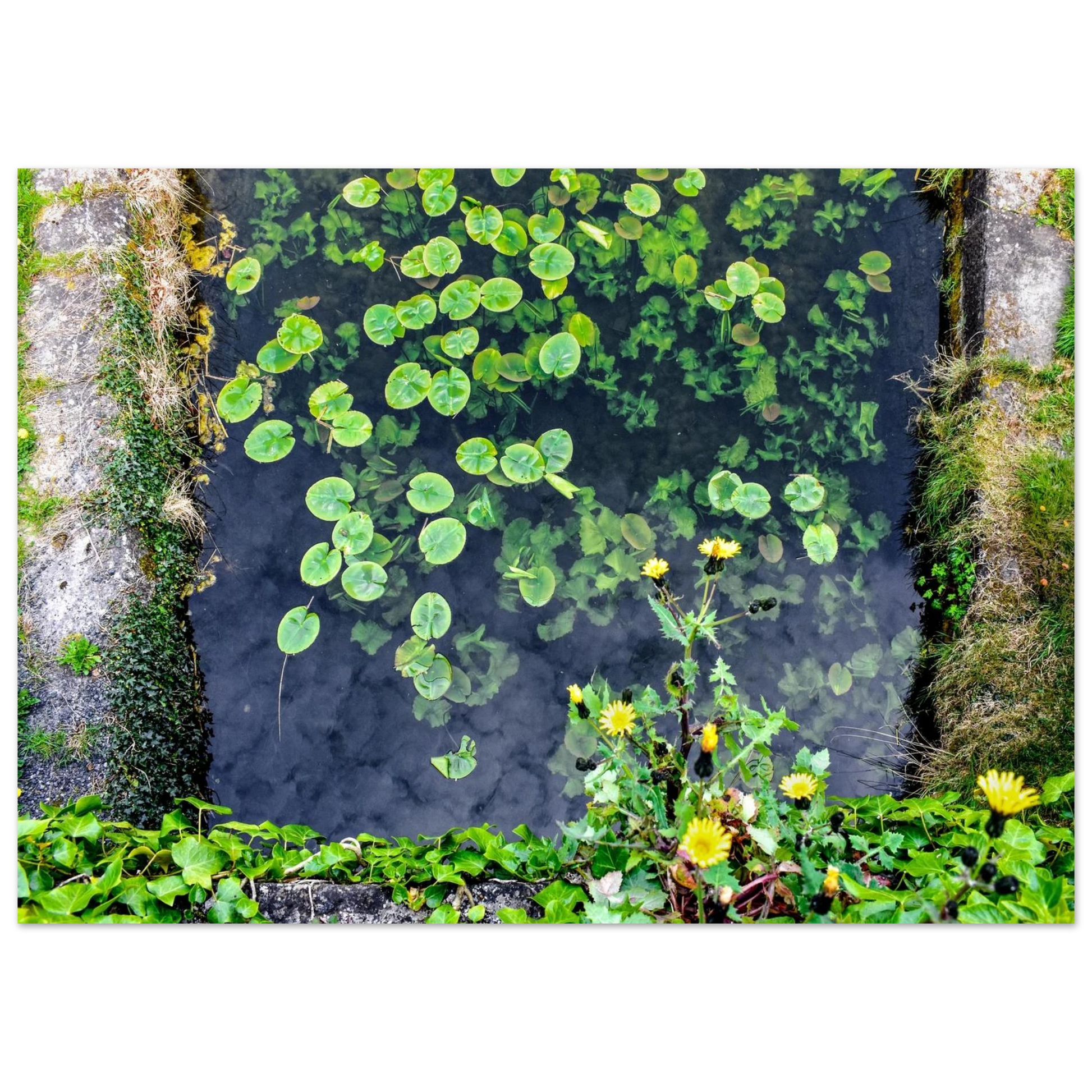 421728cb-ab93-4de2-a274-fe4e28de4f77