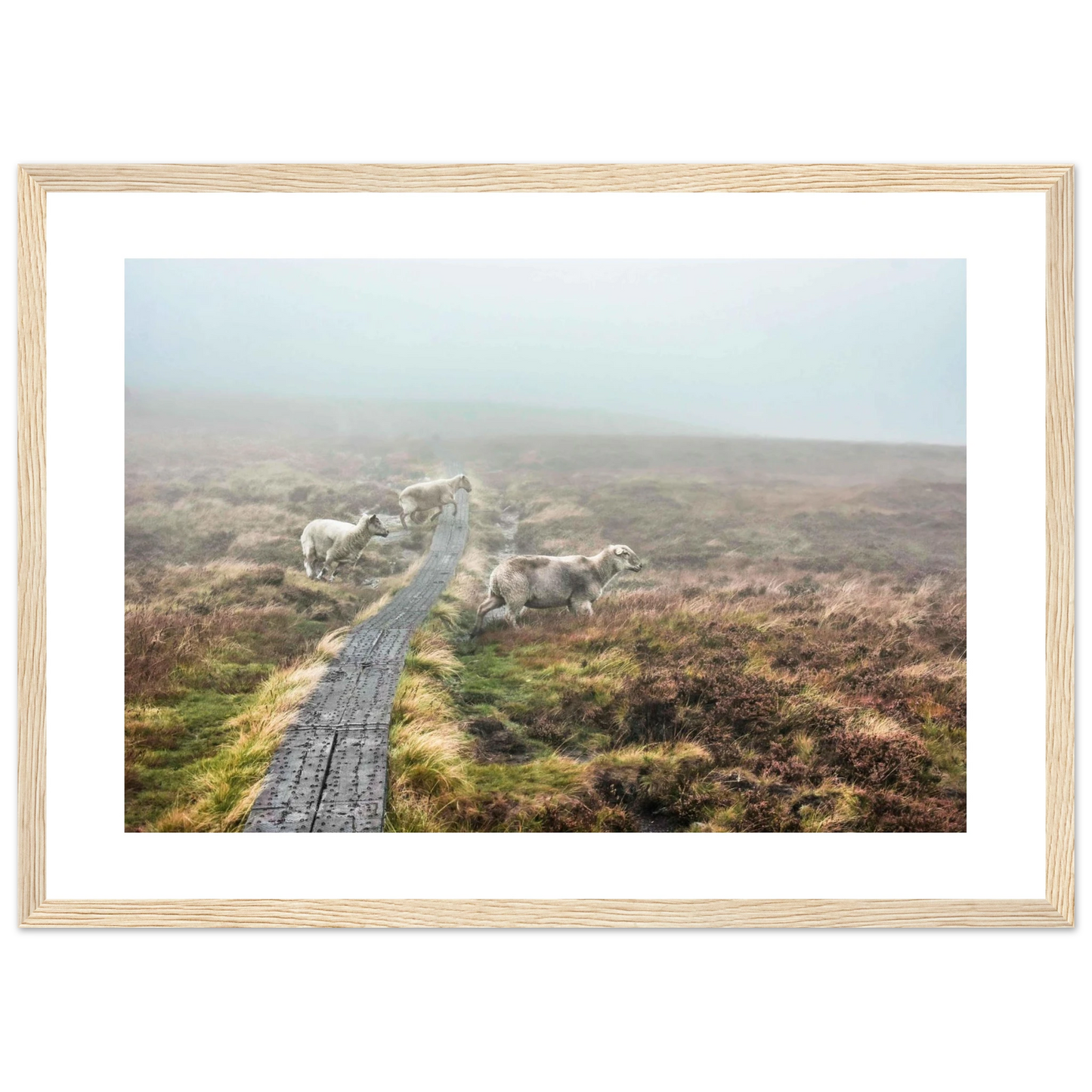 4224d53c-dde7-4ee5-87d9-32a49b10a10f