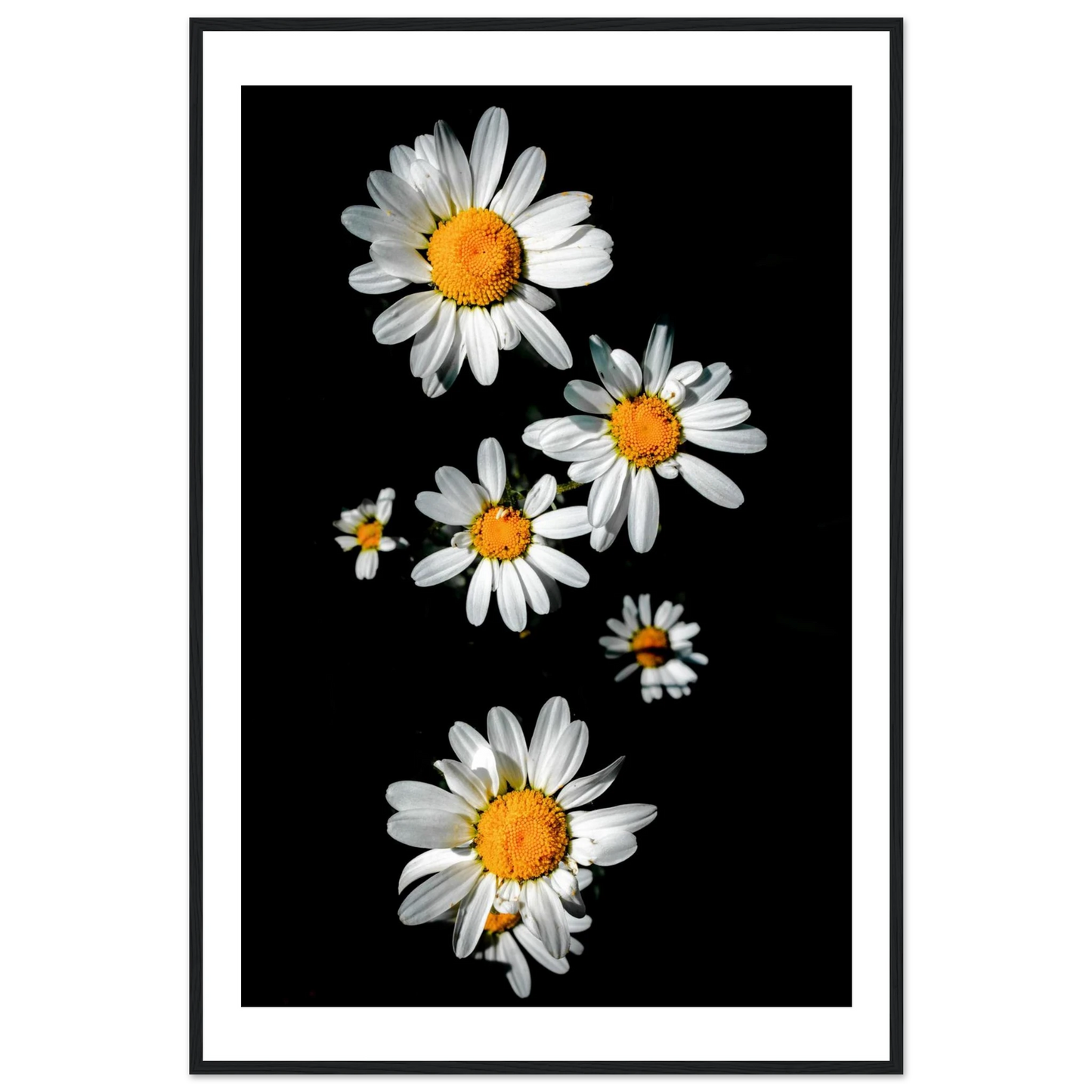 4270f195-9cb6-463c-be2c-42ffb32ef5de