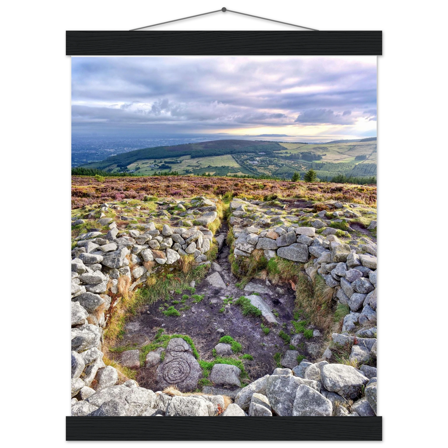 4291d034-b6d4-40a2-83db-7387ba735973