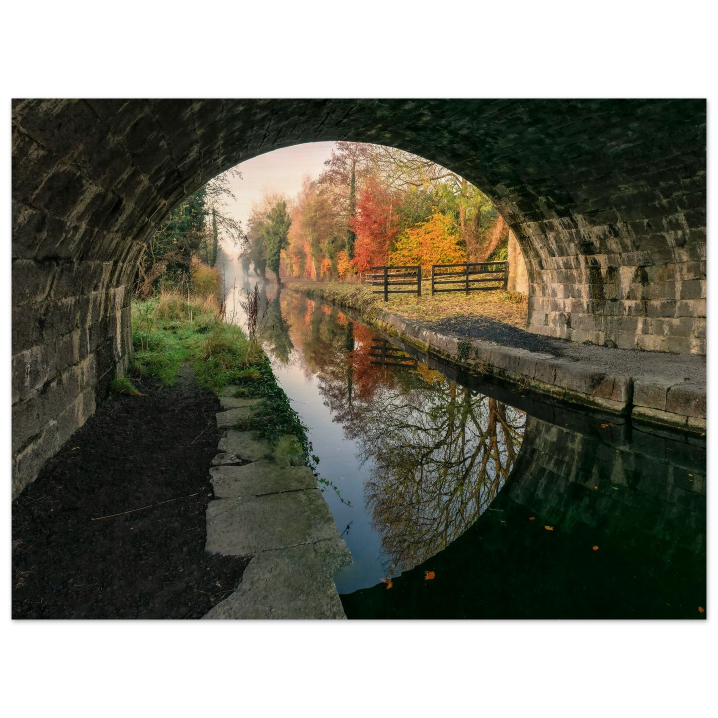 42c42405-e762-414a-85a4-976946d2c348