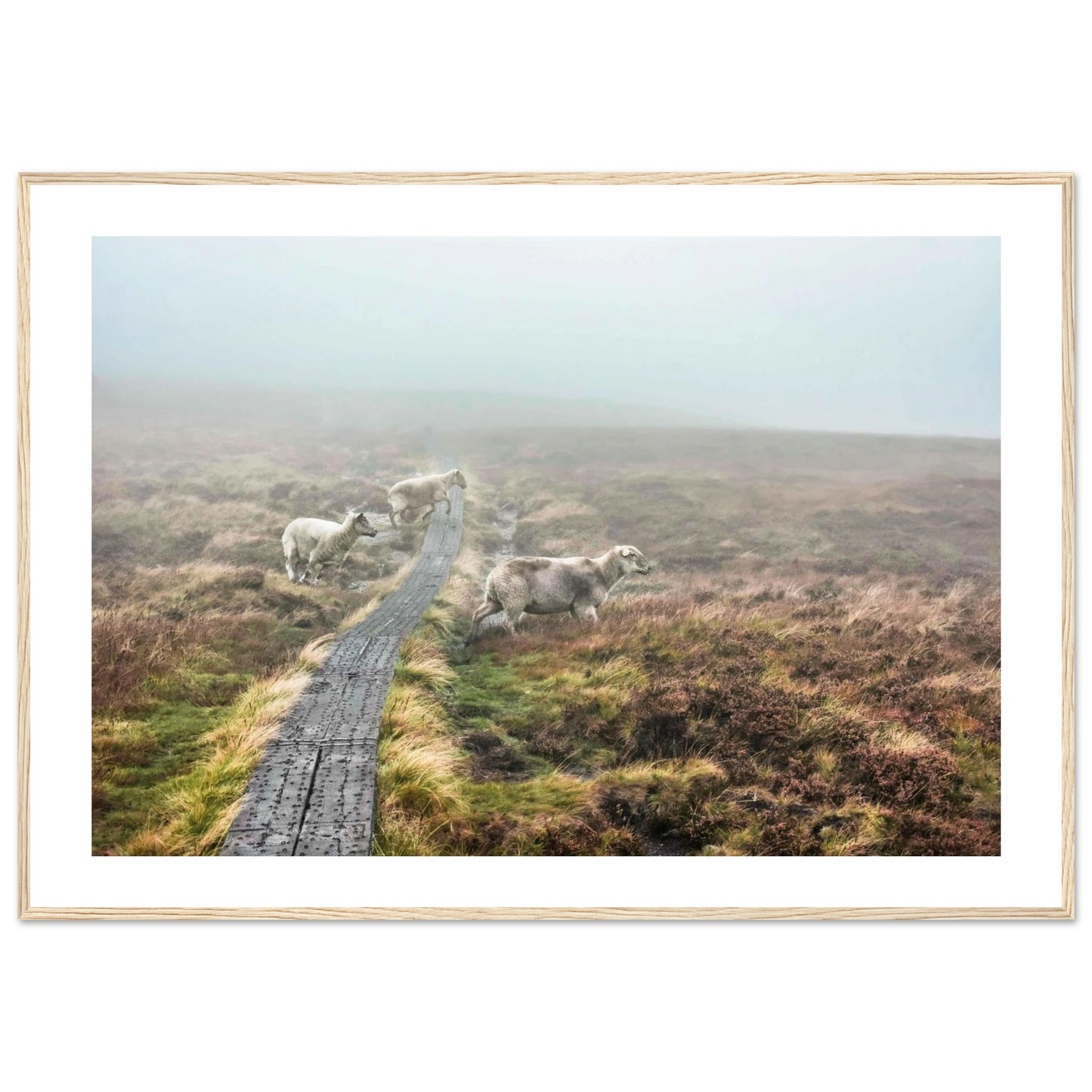 42f7eca8-c7e1-440c-a6bb-42b3a2920cf2