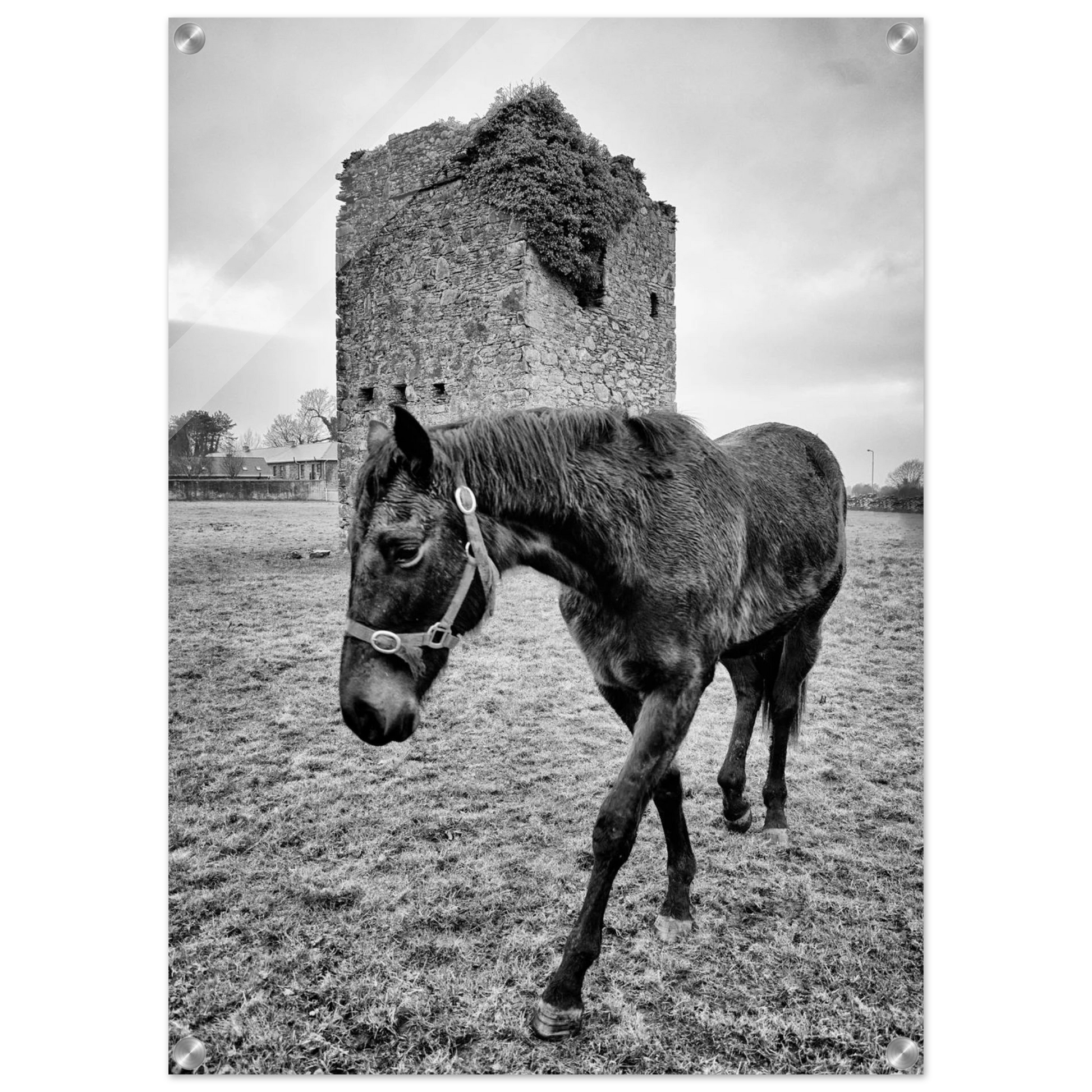 42f97531-3826-44c0-8e7a-b9c5f18a005c