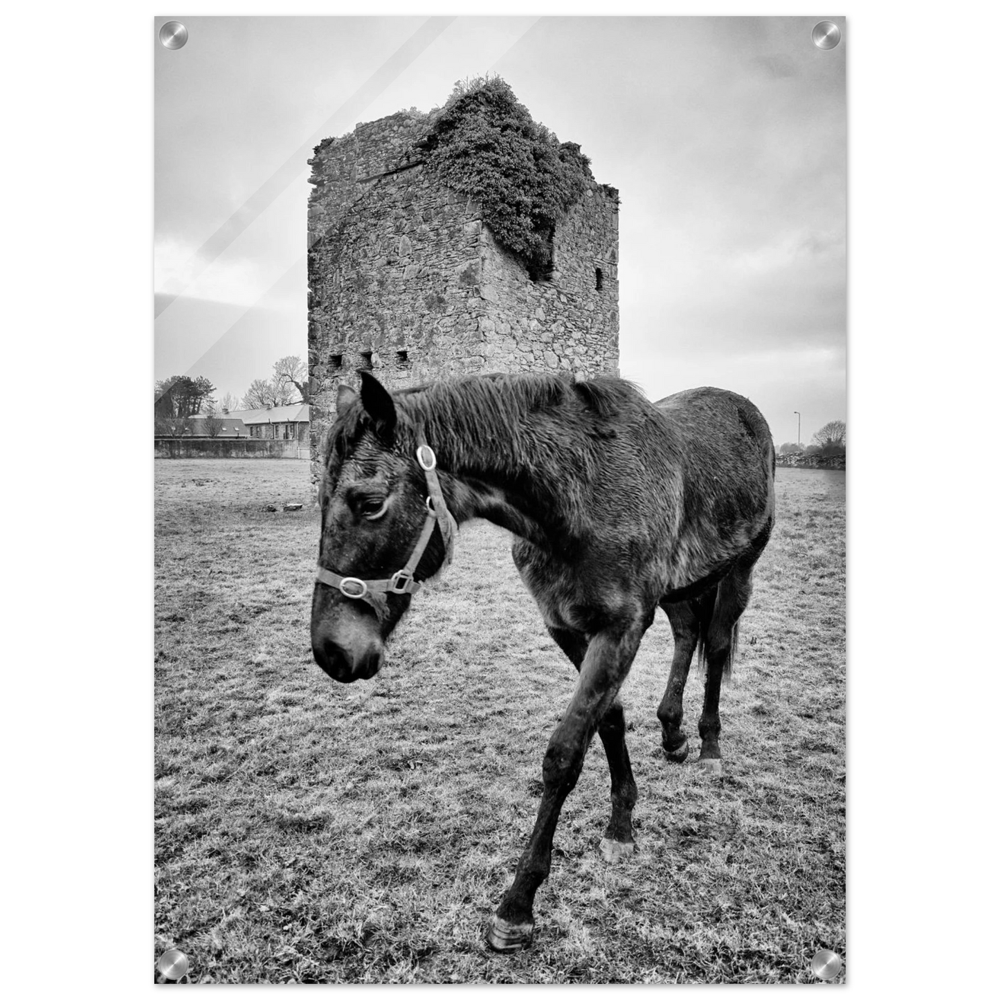 42f97531-3826-44c0-8e7a-b9c5f18a005c