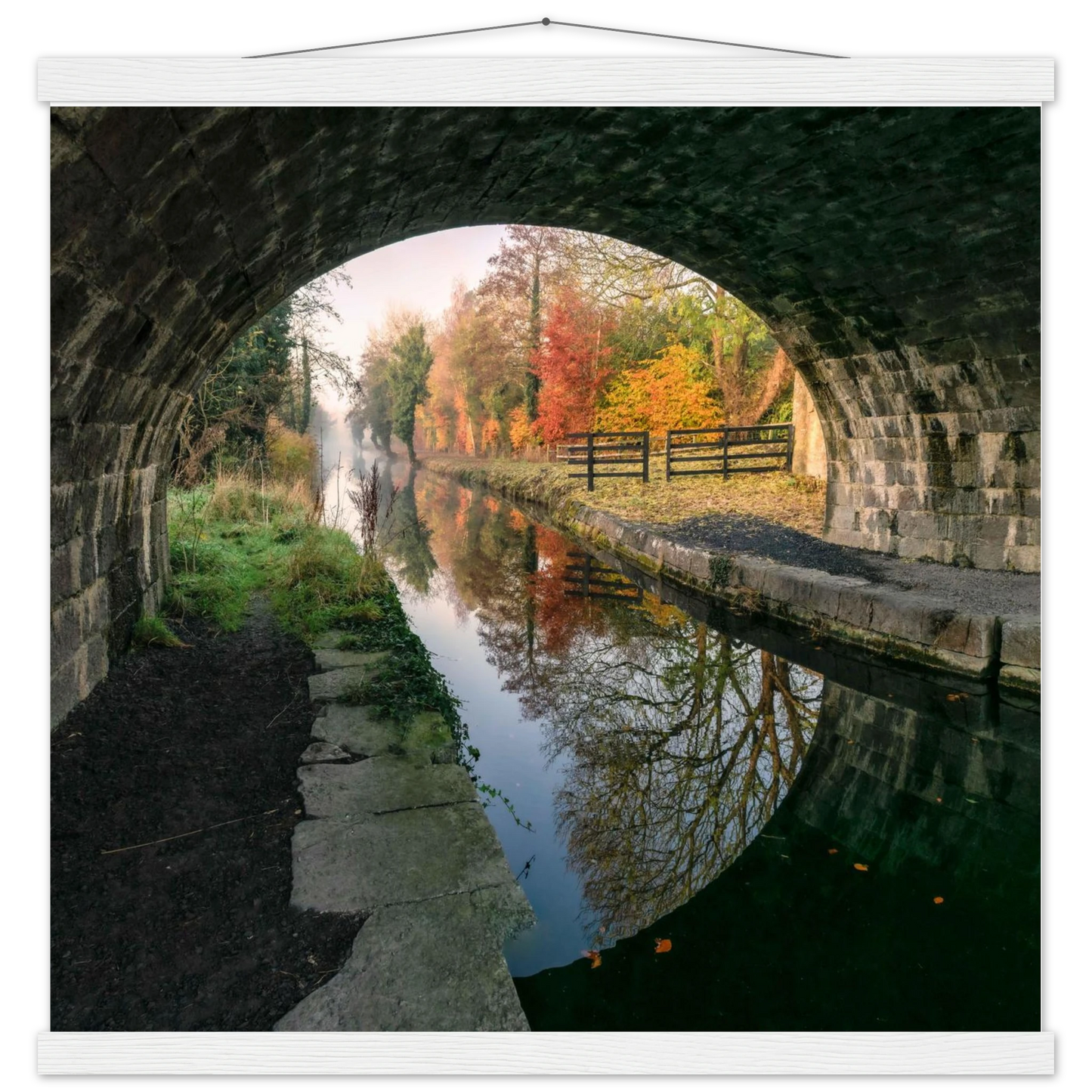 430f6f48-9726-4d80-8558-c490a9a7d85c