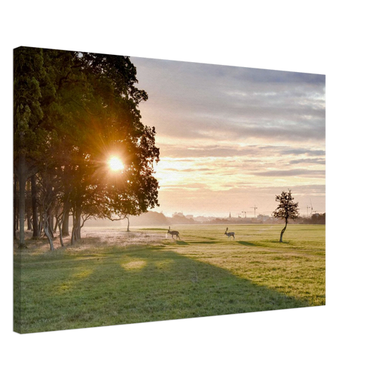 431d9380-0de0-436f-b22d-6fb1fddec190