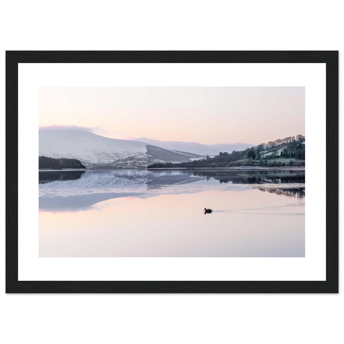 4327fd27-6c2e-4e63-98f9-0c48946a5077