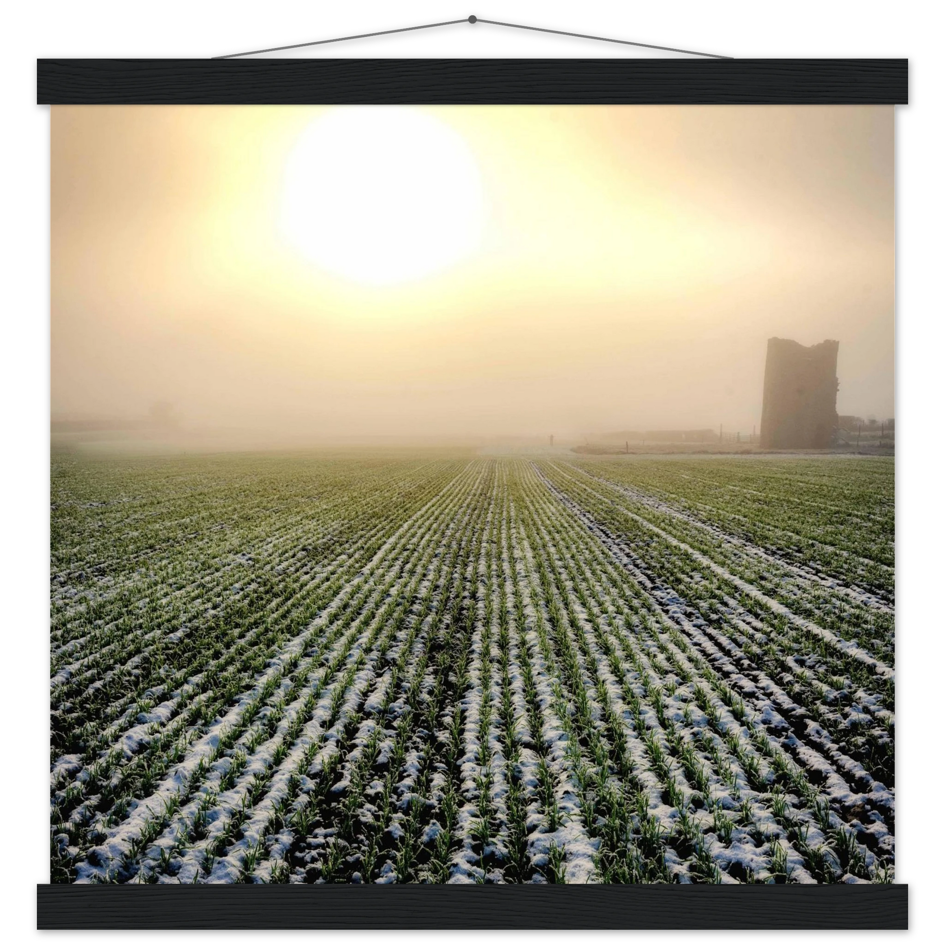 4340e0ec-d300-45d4-8df2-eecff57a75d7