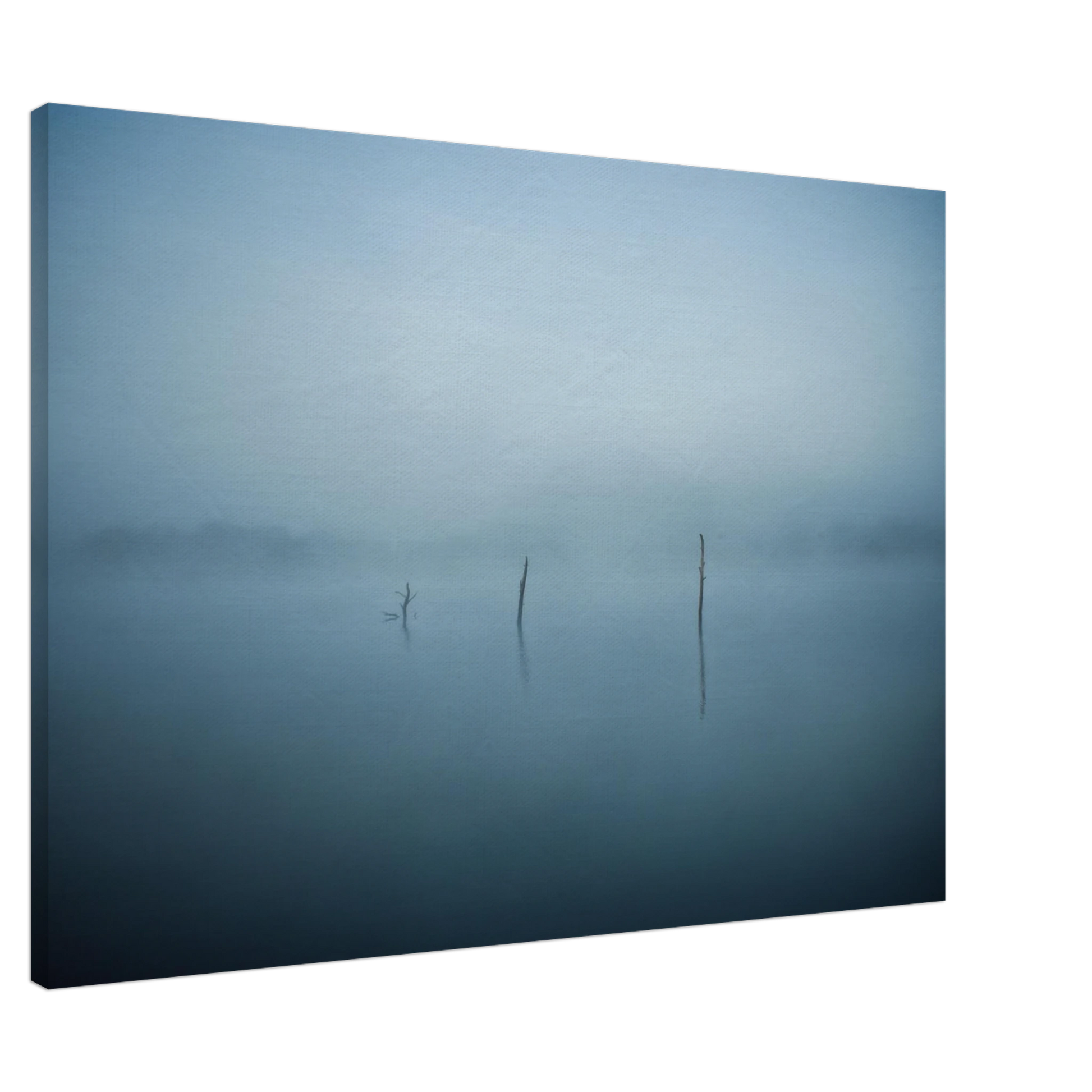 4366d629-69c0-428a-9189-685a9fe71f63