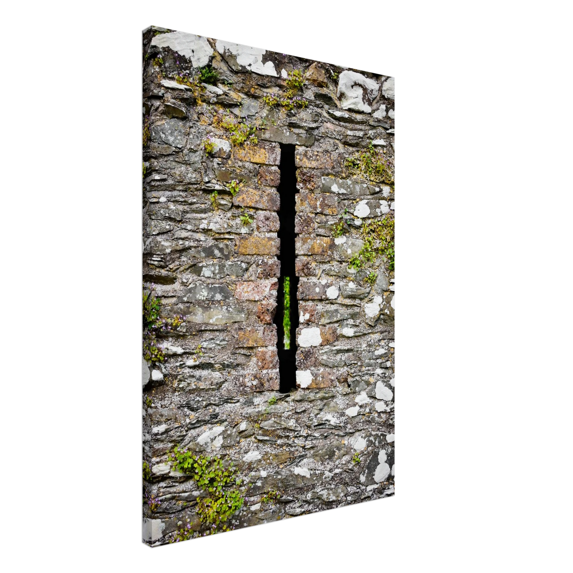 43905338-b6a0-4a2f-a977-c3d7b8b1b468