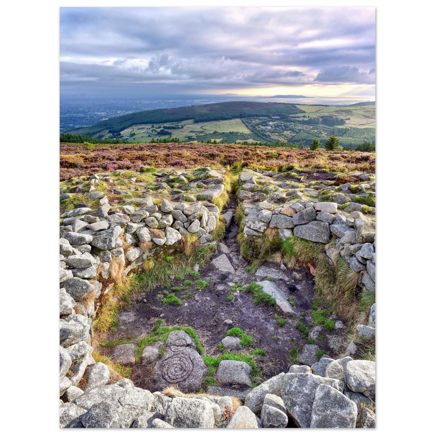 43e2d57e-36df-4d2a-bd92-04c30c2b9951