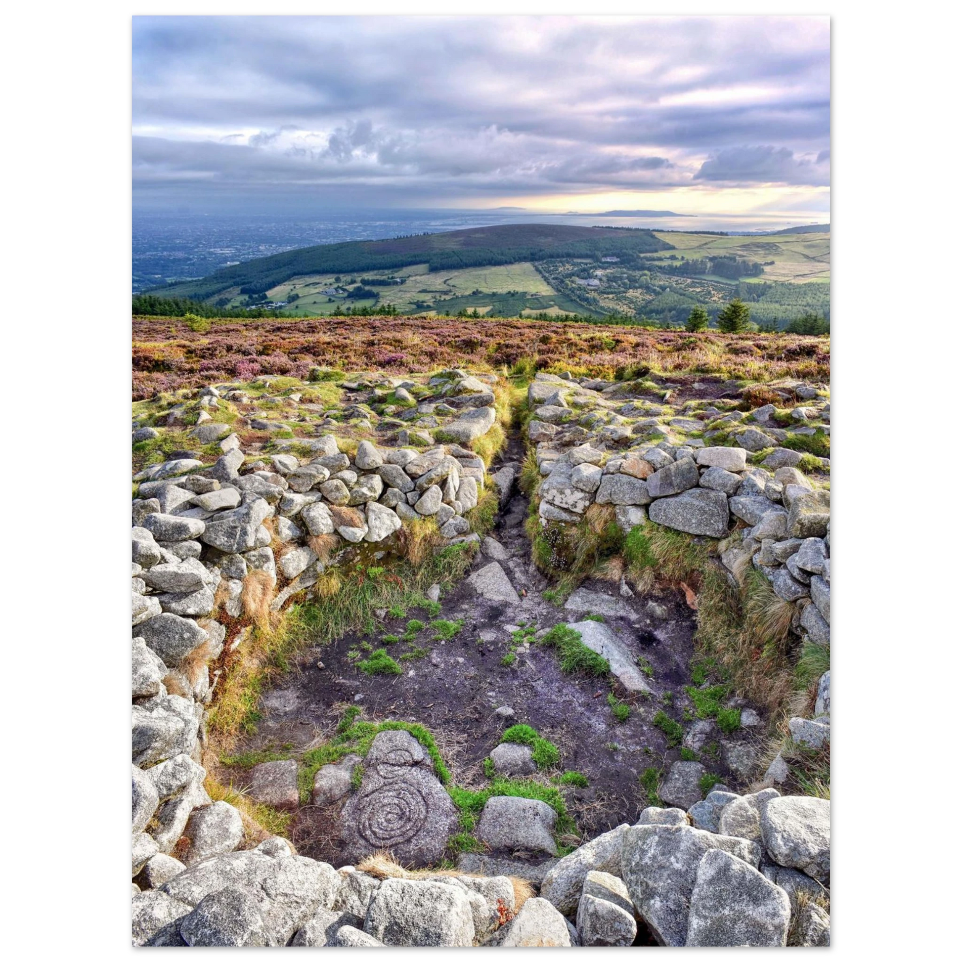 43e2d57e-36df-4d2a-bd92-04c30c2b9951