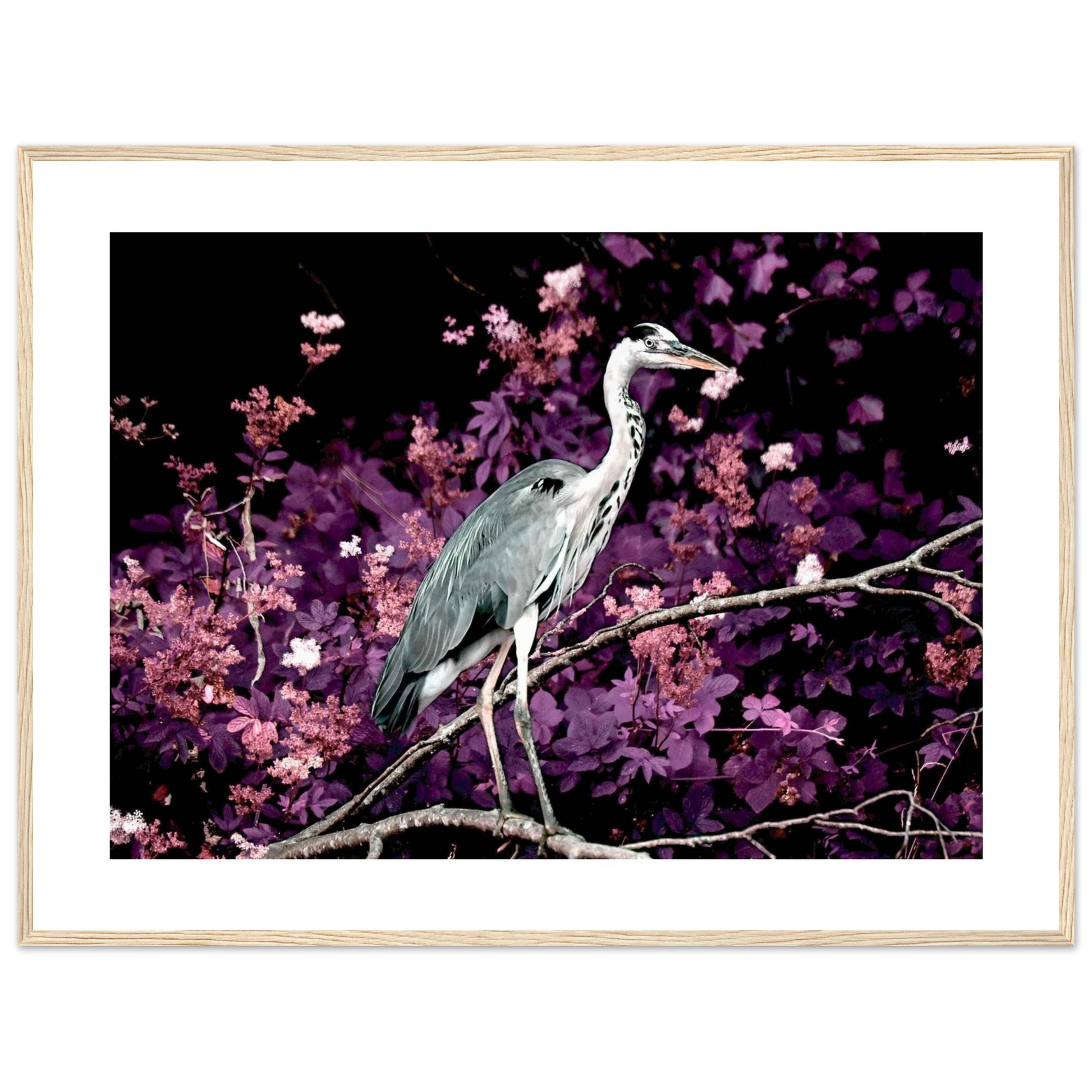 440ba587-cfe6-4429-b0da-c9e07b5f079e