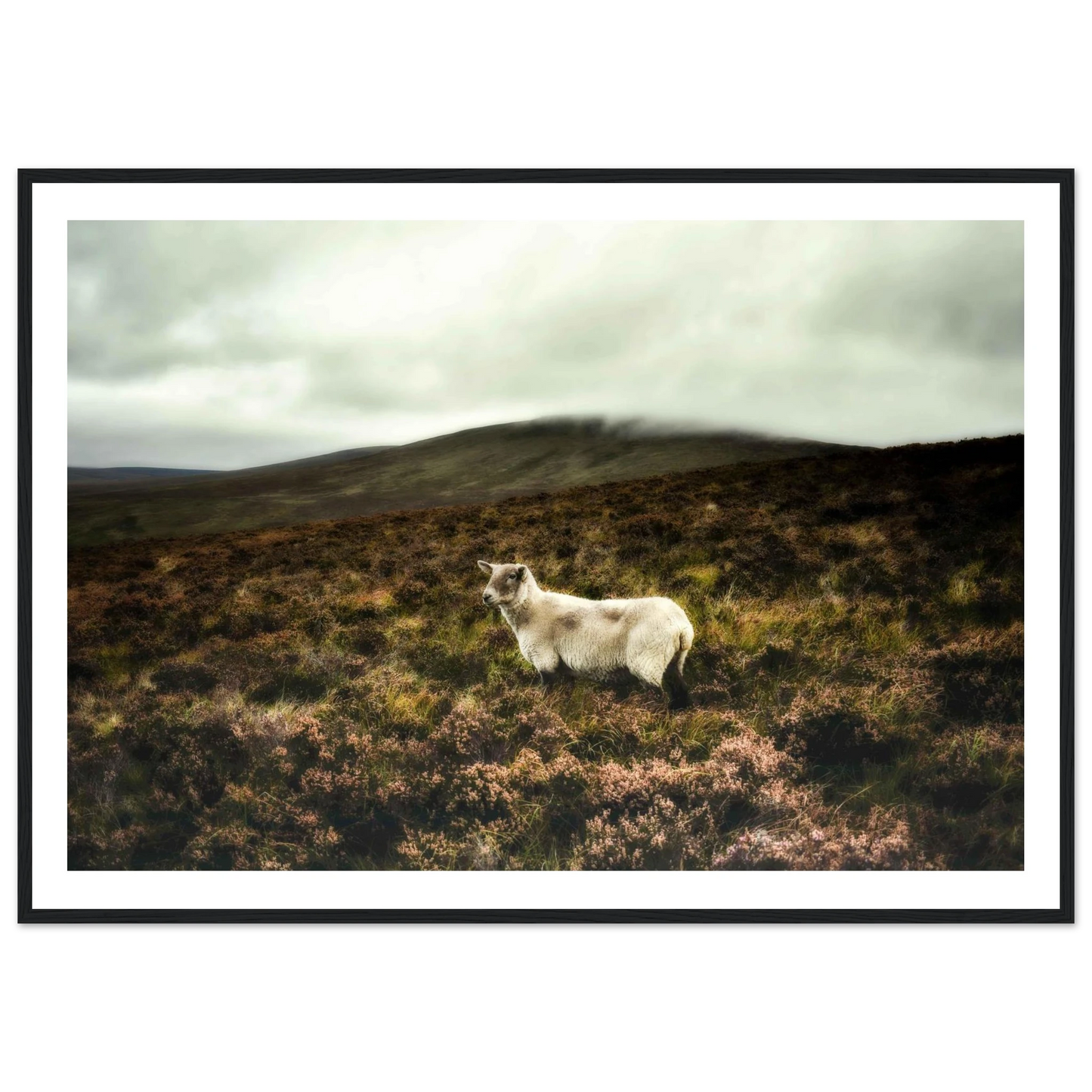 44636918-6f6a-4426-ae16-56f8806c1bea