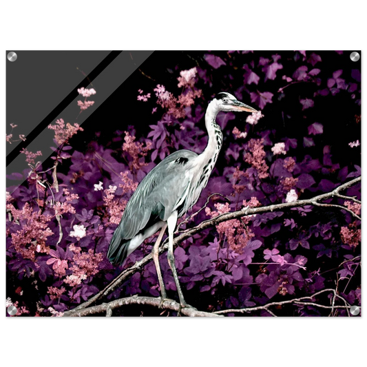 4498d1bf-4360-4f9c-b6e9-ee94a862ff8e