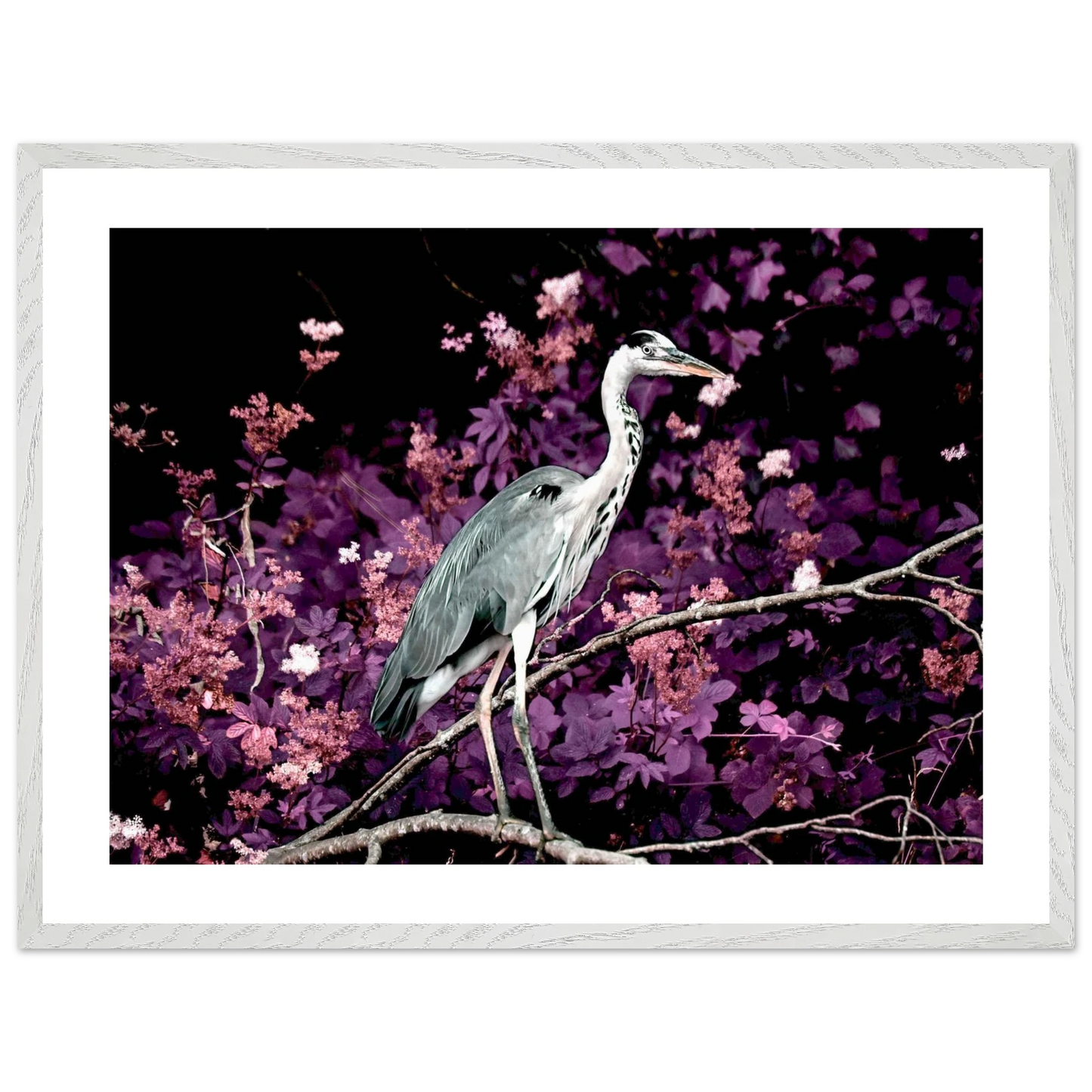 449f09ec-67c6-416f-9450-1fbc4f7c71db