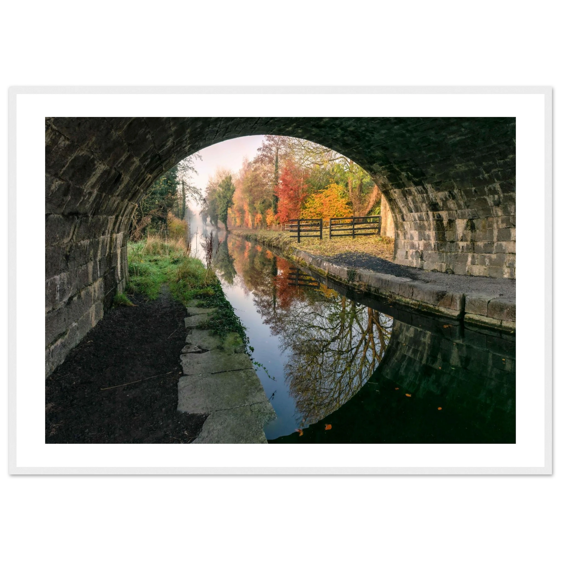 452ed117-7f57-4b44-8fa9-bd4d43acfac5