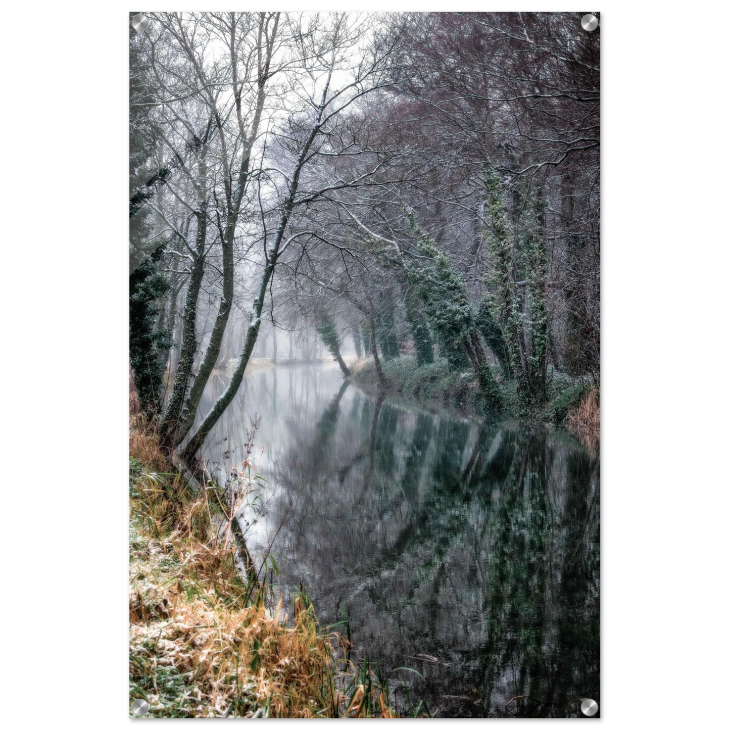 453c534d-866e-48b1-8172-2b274aa13975