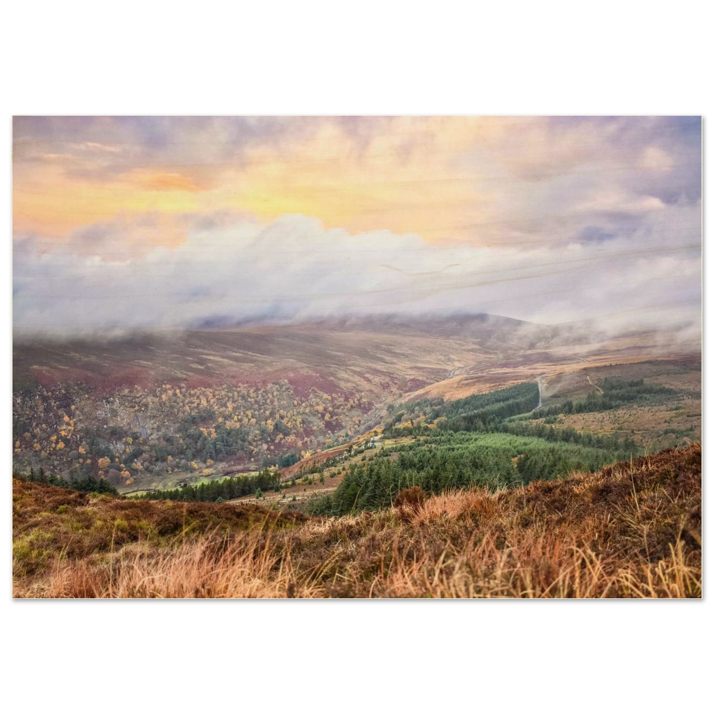 45529237-153e-4a0b-9fe8-5fc75a57d7af