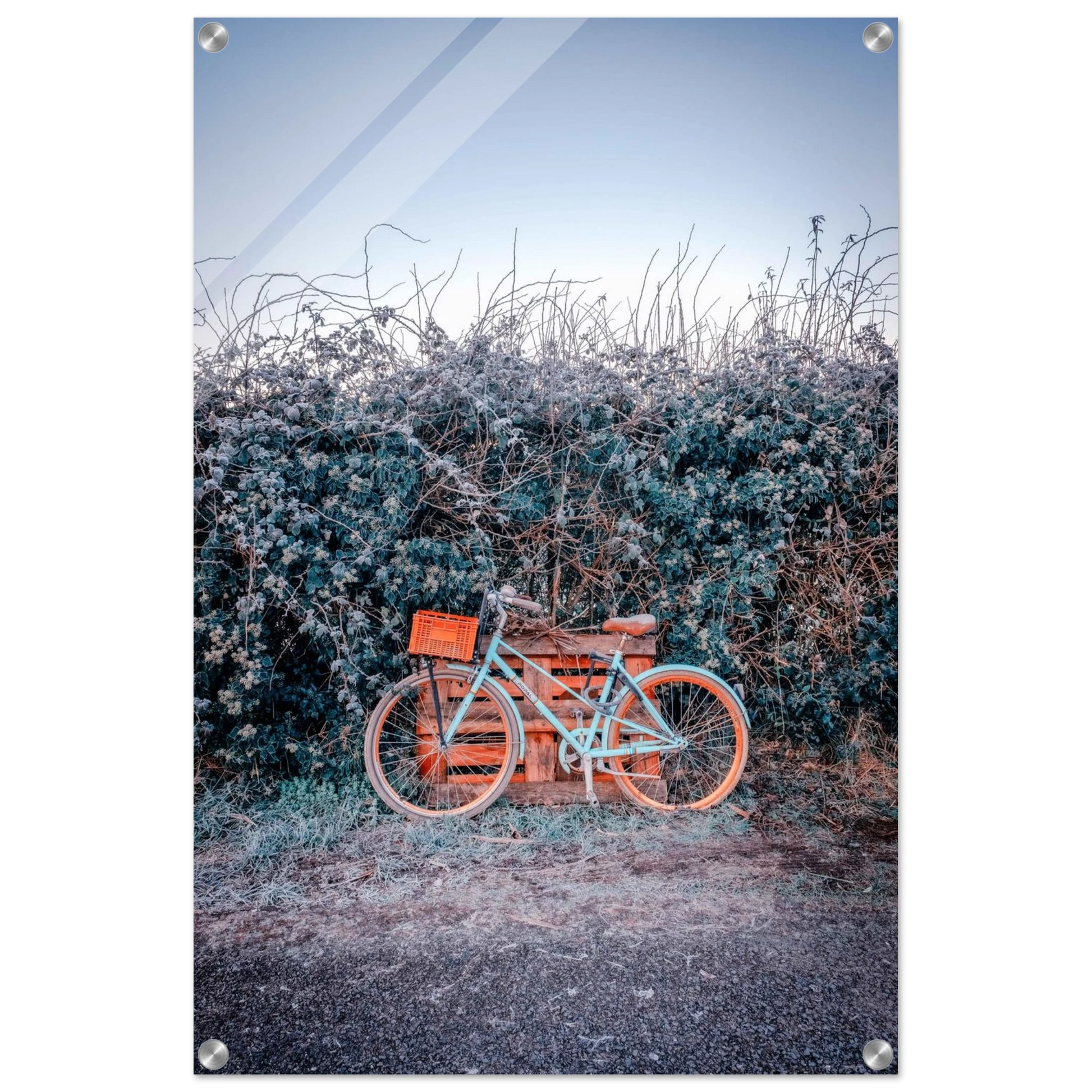 45672152-df00-40f9-8fb1-1d0e442eb9f1