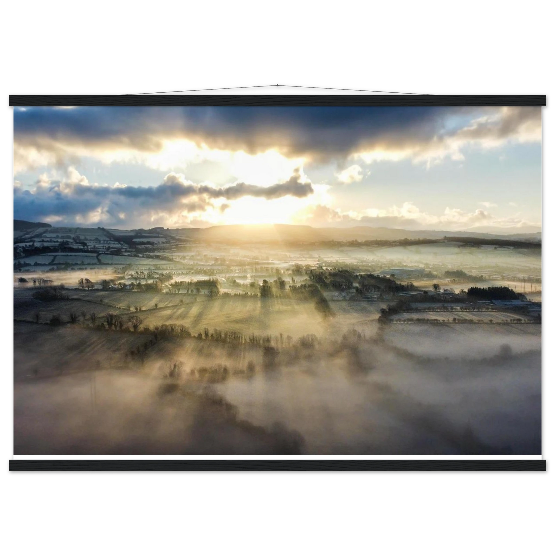 456c3320-421b-4e86-80b9-de5d5da123a2