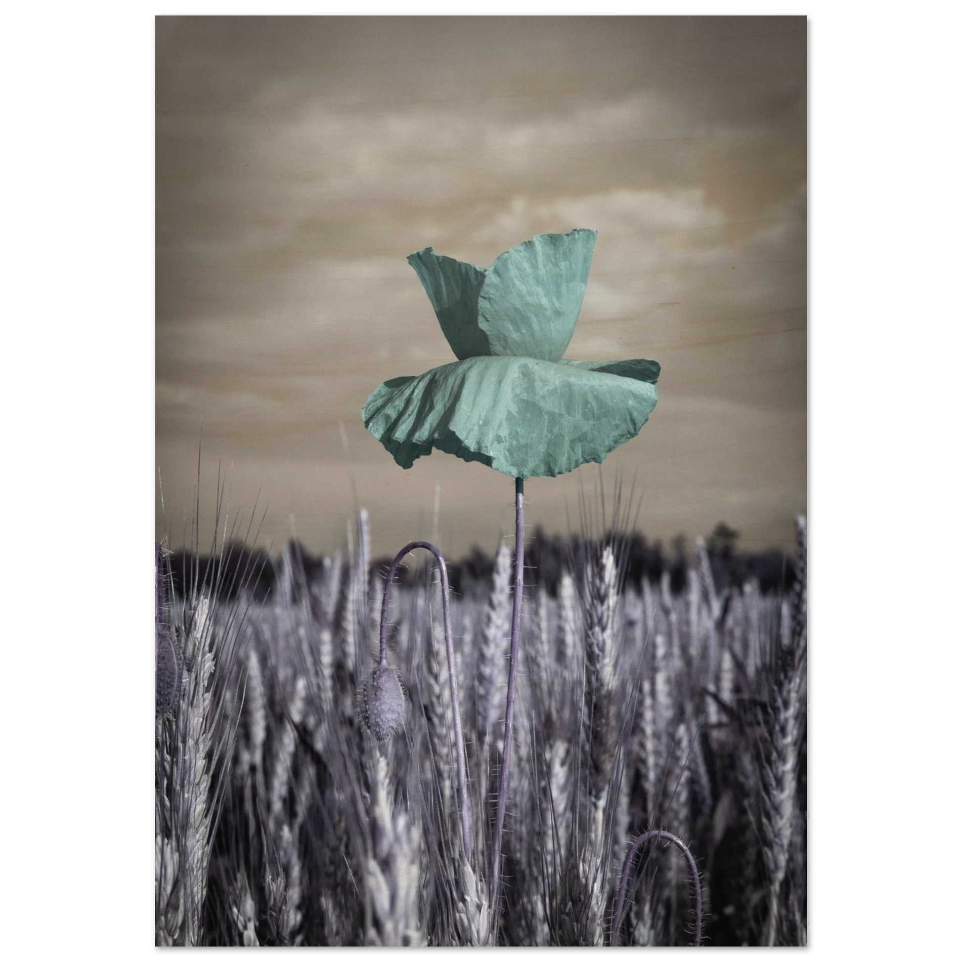 45d5ae66-152f-4c5b-9e66-0cd3302e64e1