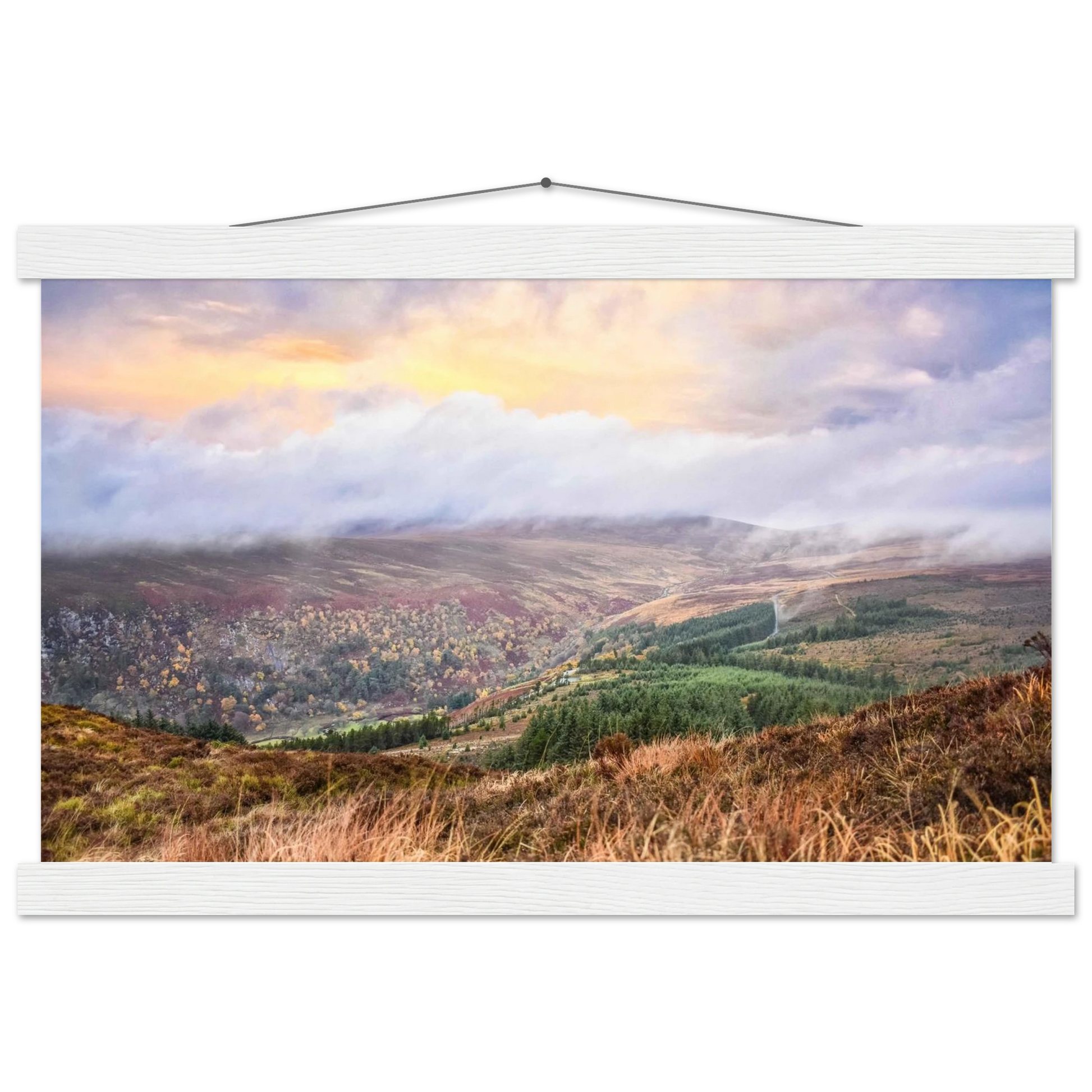 462e088b-0158-47b0-a588-2a18f3d6543a