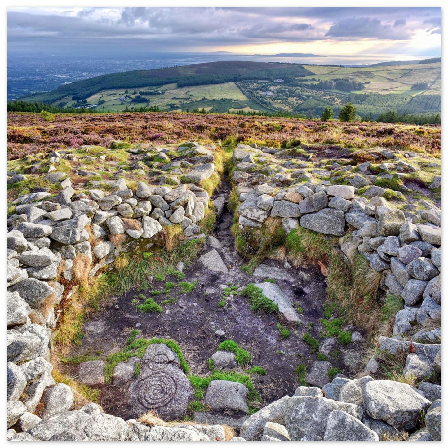 466fc705-9d0c-48e7-b31b-919783e577c1