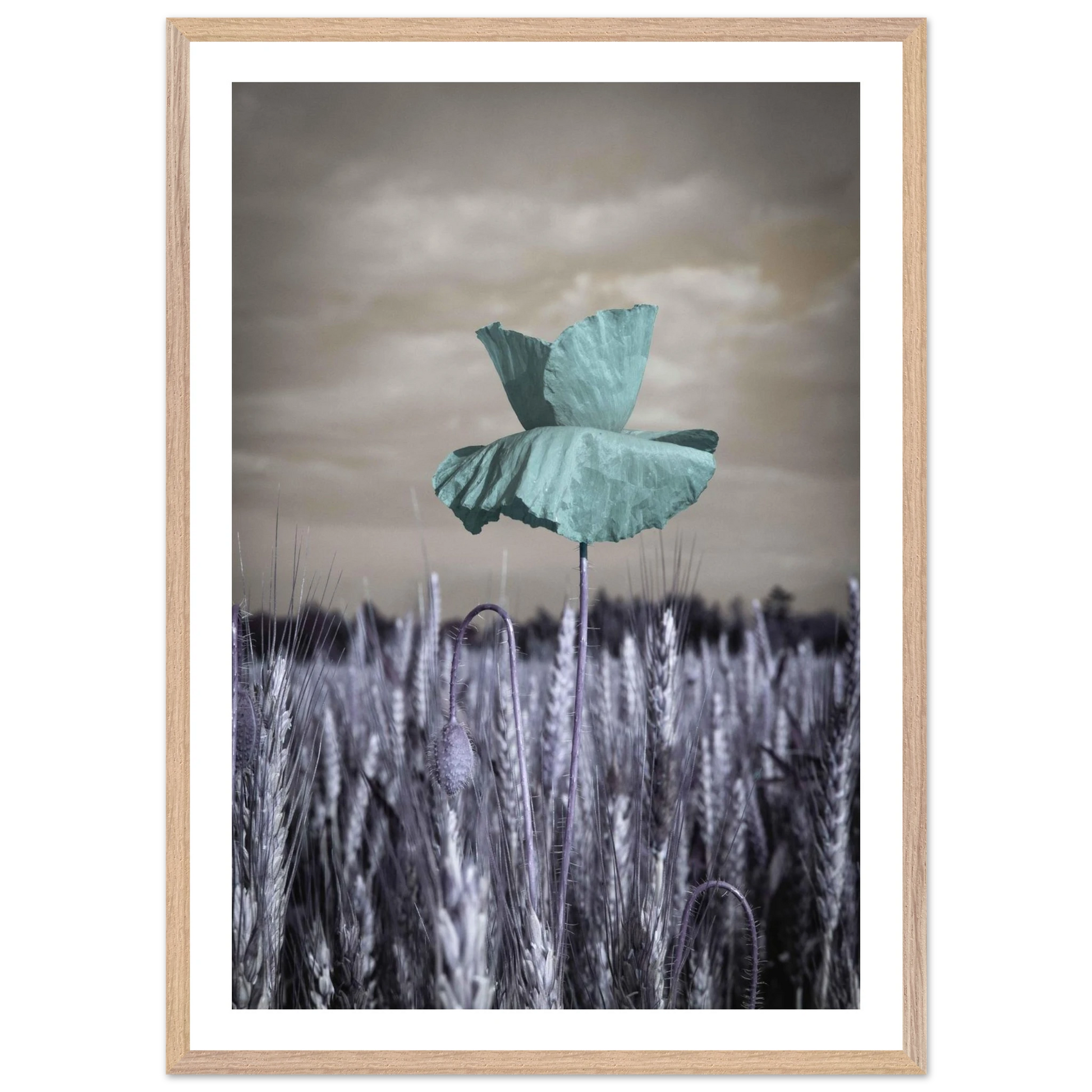 478bd599-a5b9-4d24-9719-a6ba48c77bc6