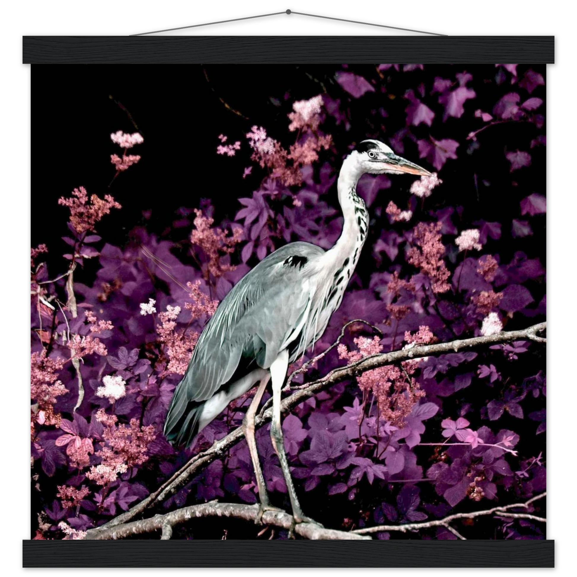 48354636-27ff-4d10-ba42-f8d9f6169e5d