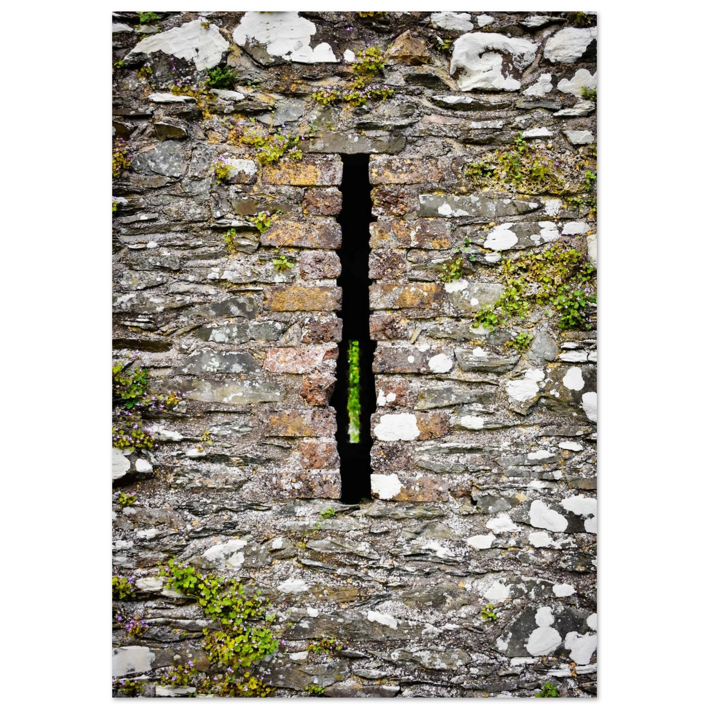 485e4720-6ee3-488a-a5c9-dfdb55a90d45