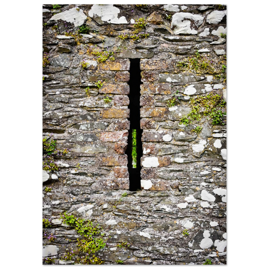 485e4720-6ee3-488a-a5c9-dfdb55a90d45