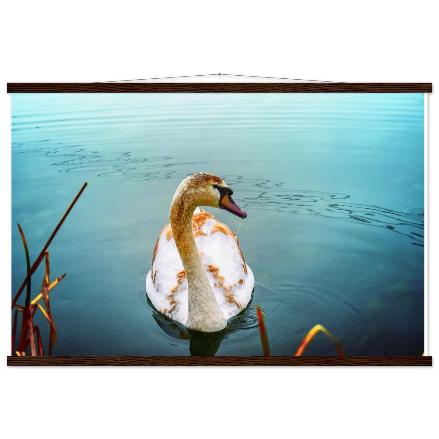 48de8706-7387-4d83-9b81-c8a27954ce43