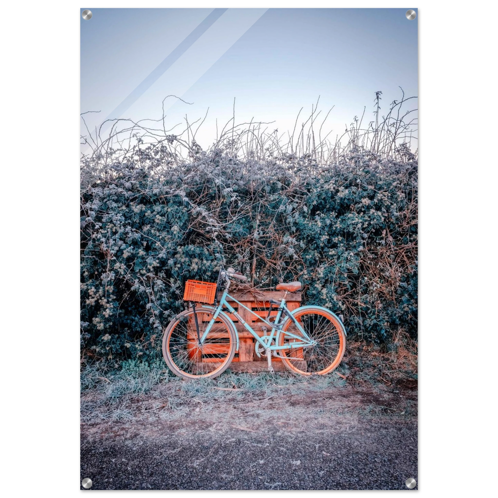 4909d7e5-9799-4c97-8188-25f880ea1138