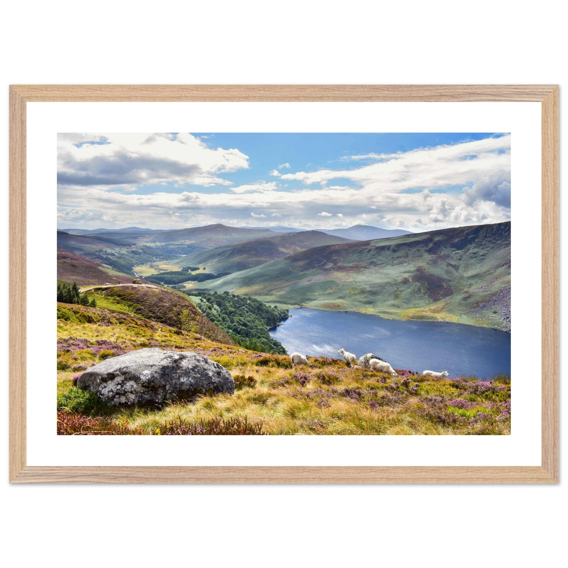 4a76078a-6cbc-4ea0-ba06-763f0cc3e0db