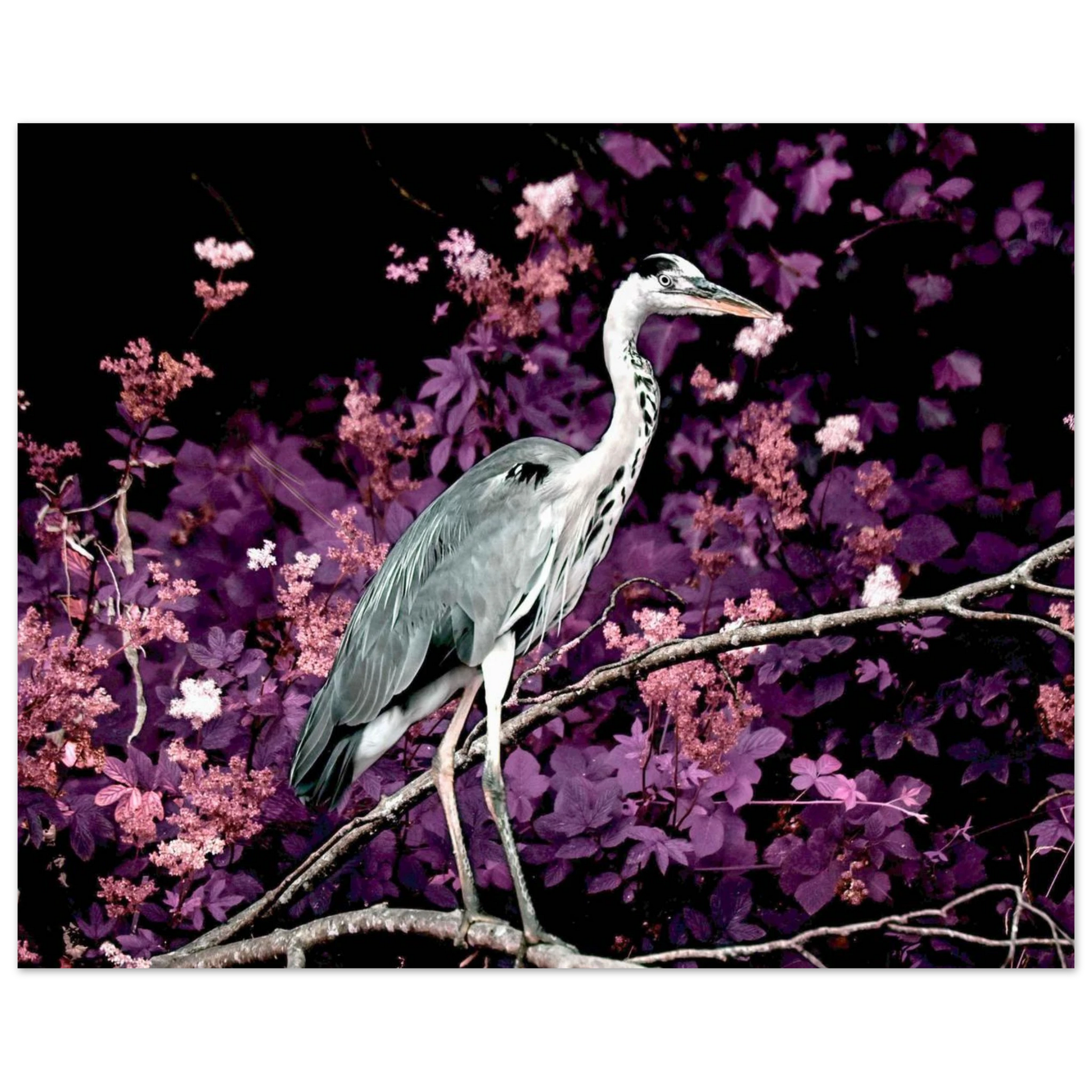 4ae53e28-1331-4366-969e-cd357ed21deb