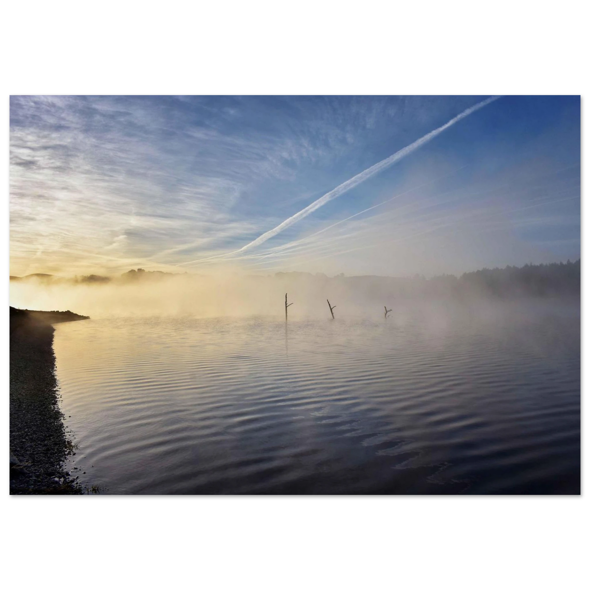 4b23f625-624c-4ff5-893d-f316a650da9a