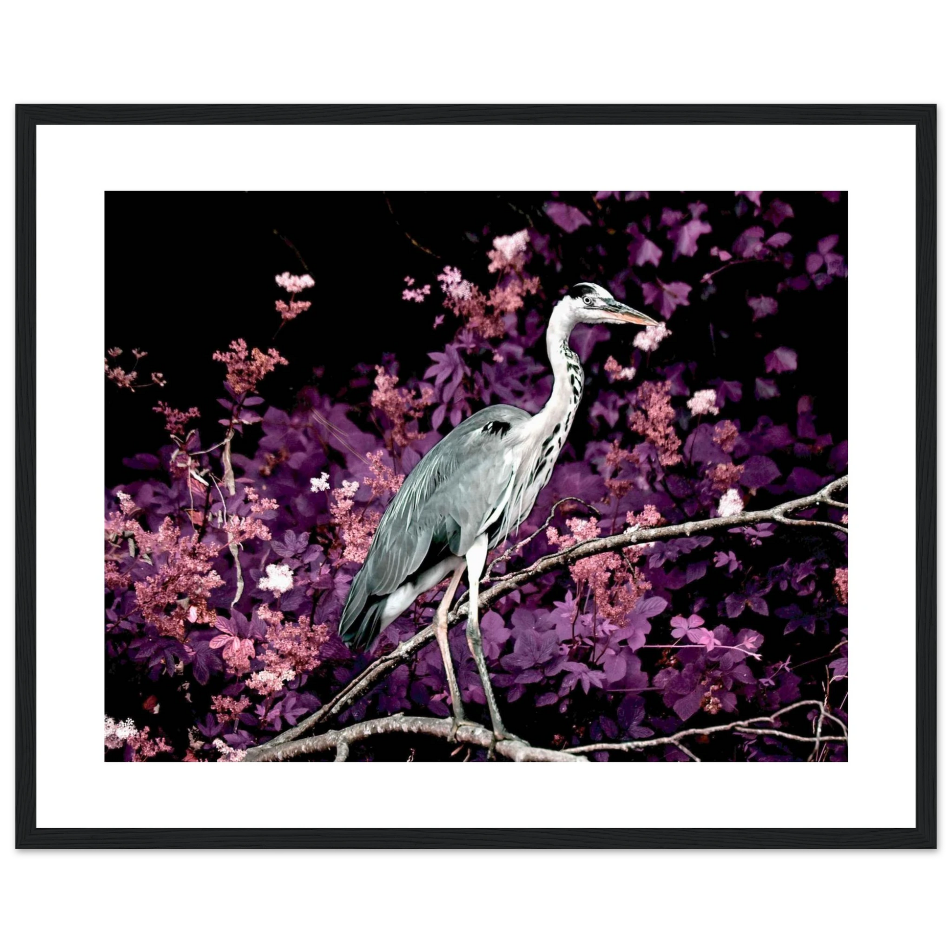 4be09e87-f083-47de-8643-ec0b856ad50f