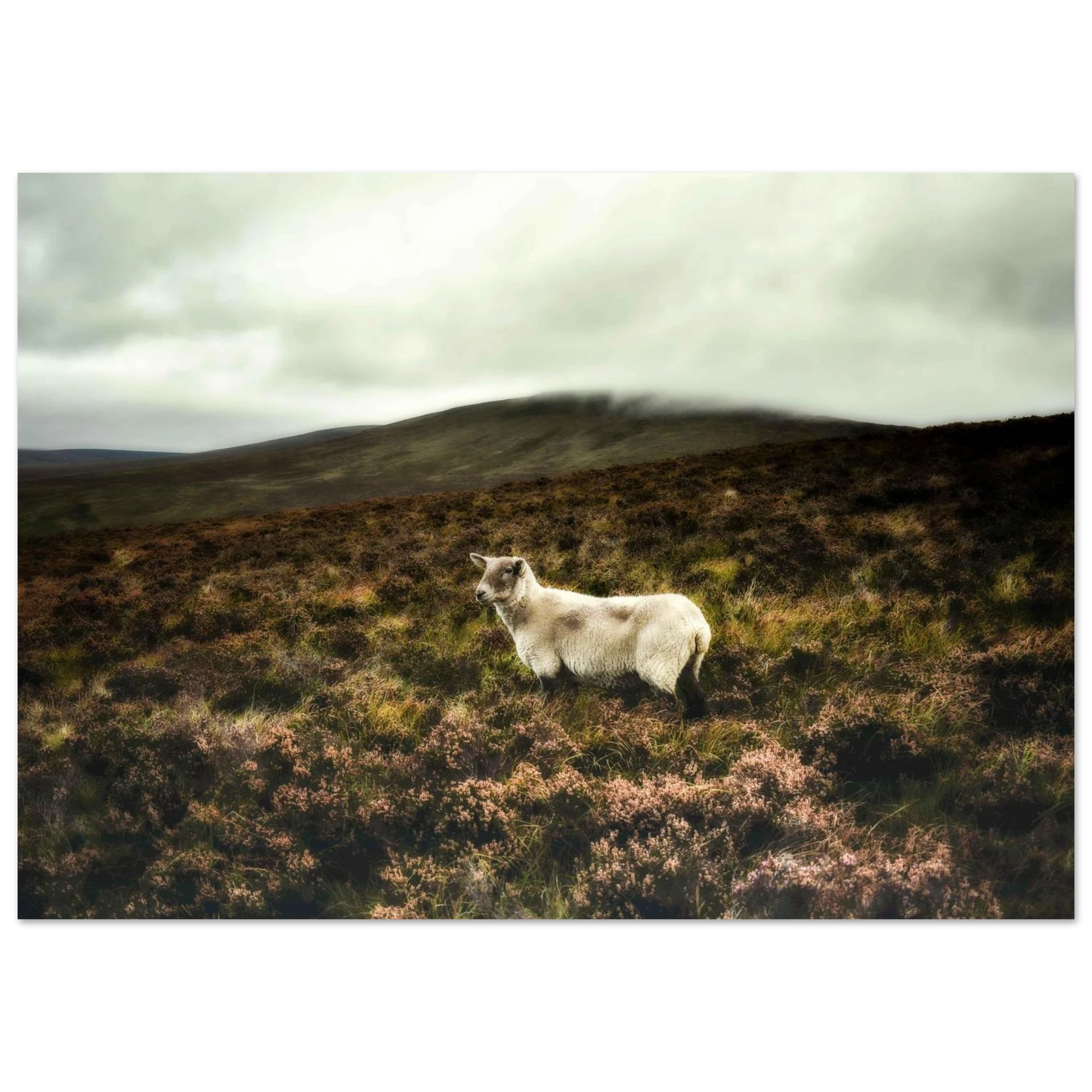 4ccb6f28-288a-4af3-8e32-089ba2a57bad