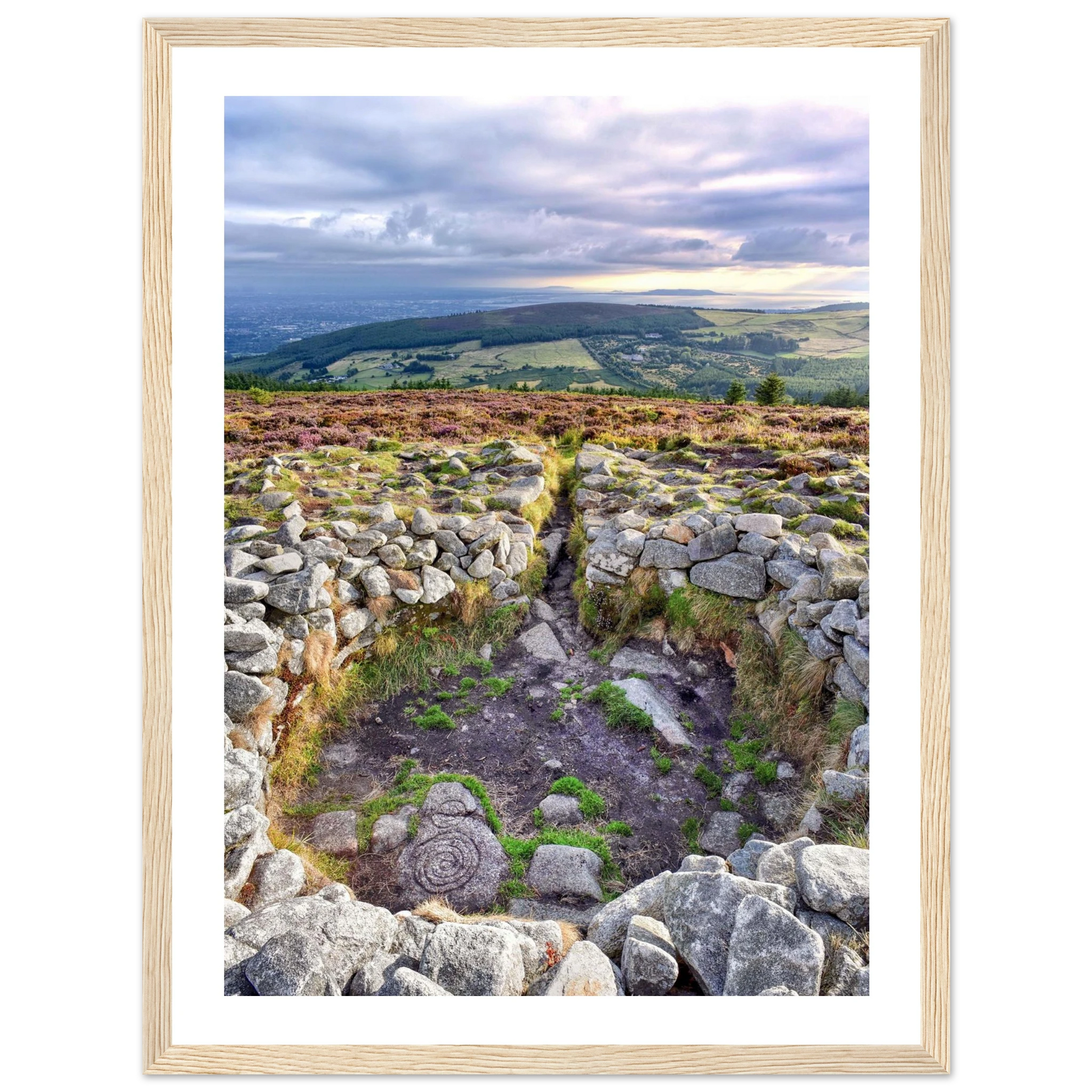 4ce87d55-7228-4828-b841-4d2b956b787f